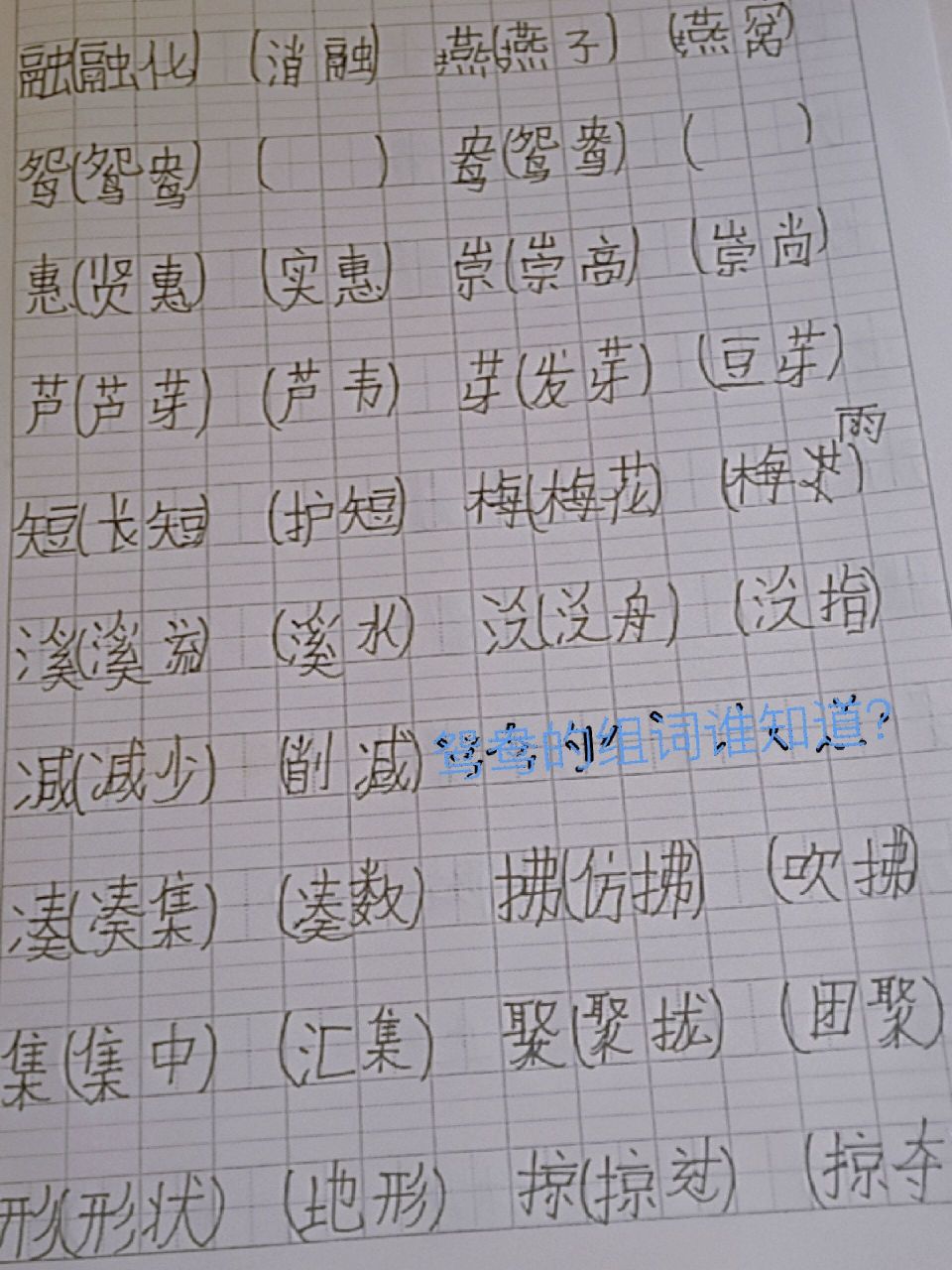 鸳和鸯的组词谁会?