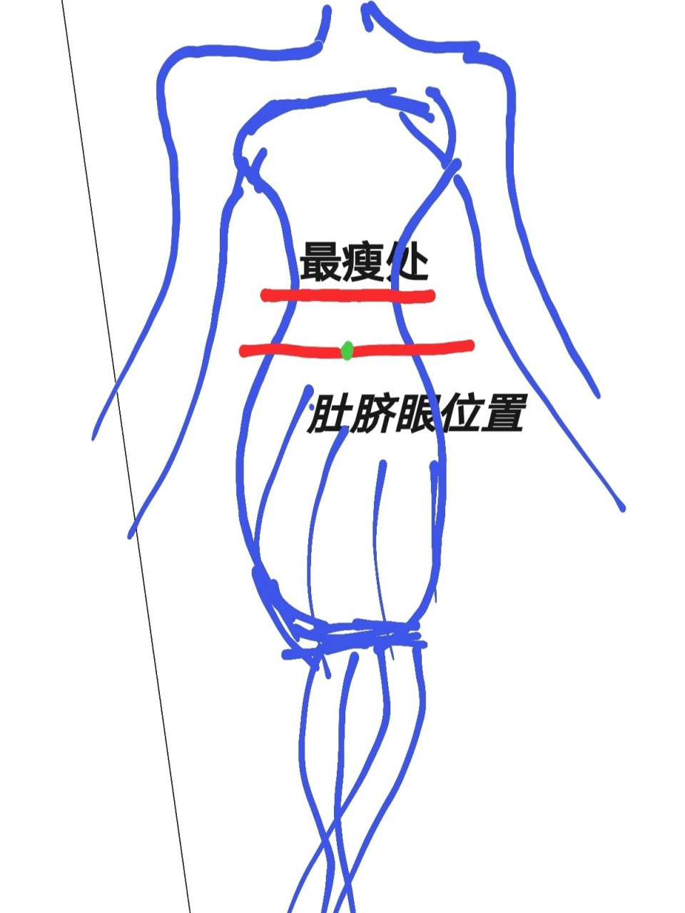 大家腰围都是量哪个位置的呀? 是上面最瘦的位置?还是肚脐眼那一Ζ?