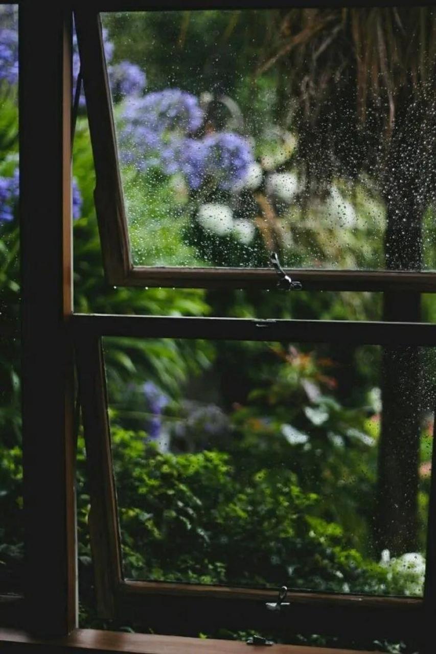 雨夜图片窗外孤独图片