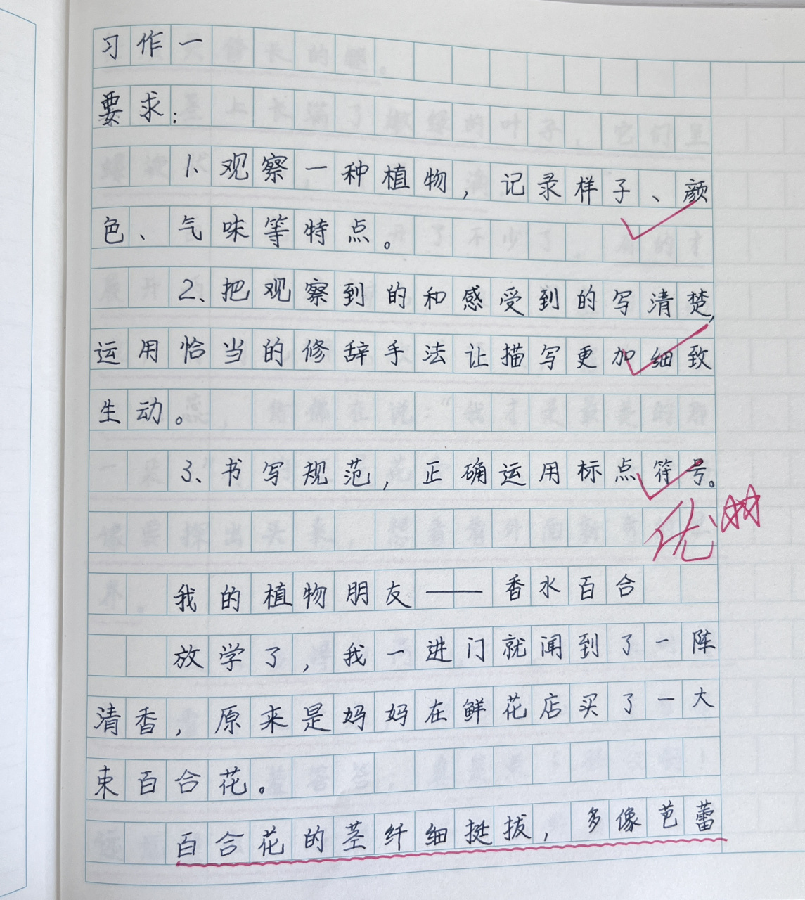 三下 习作一 我的植物朋友 百合