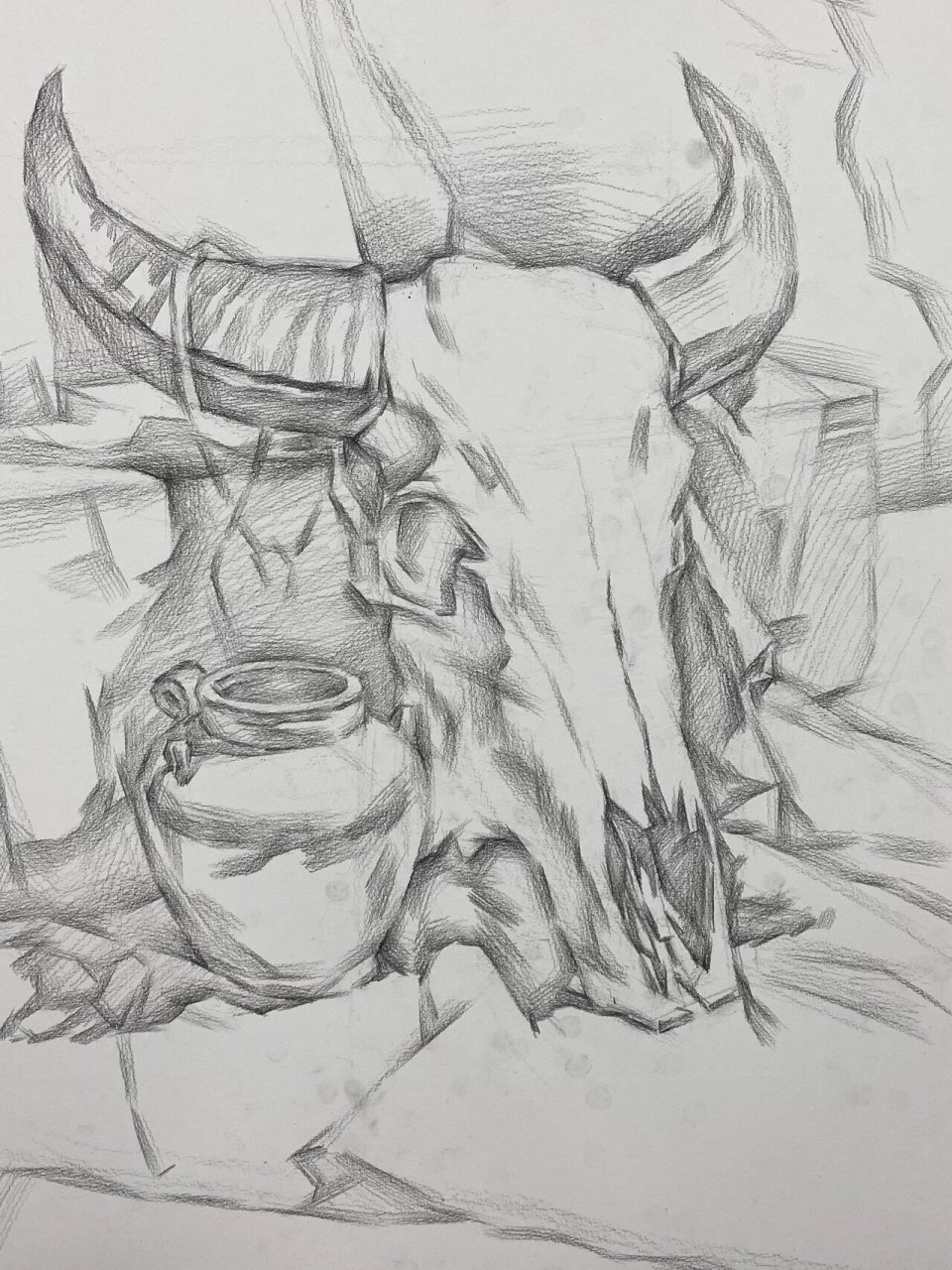 素描静物(羊头) 素描静物羊头步骤图