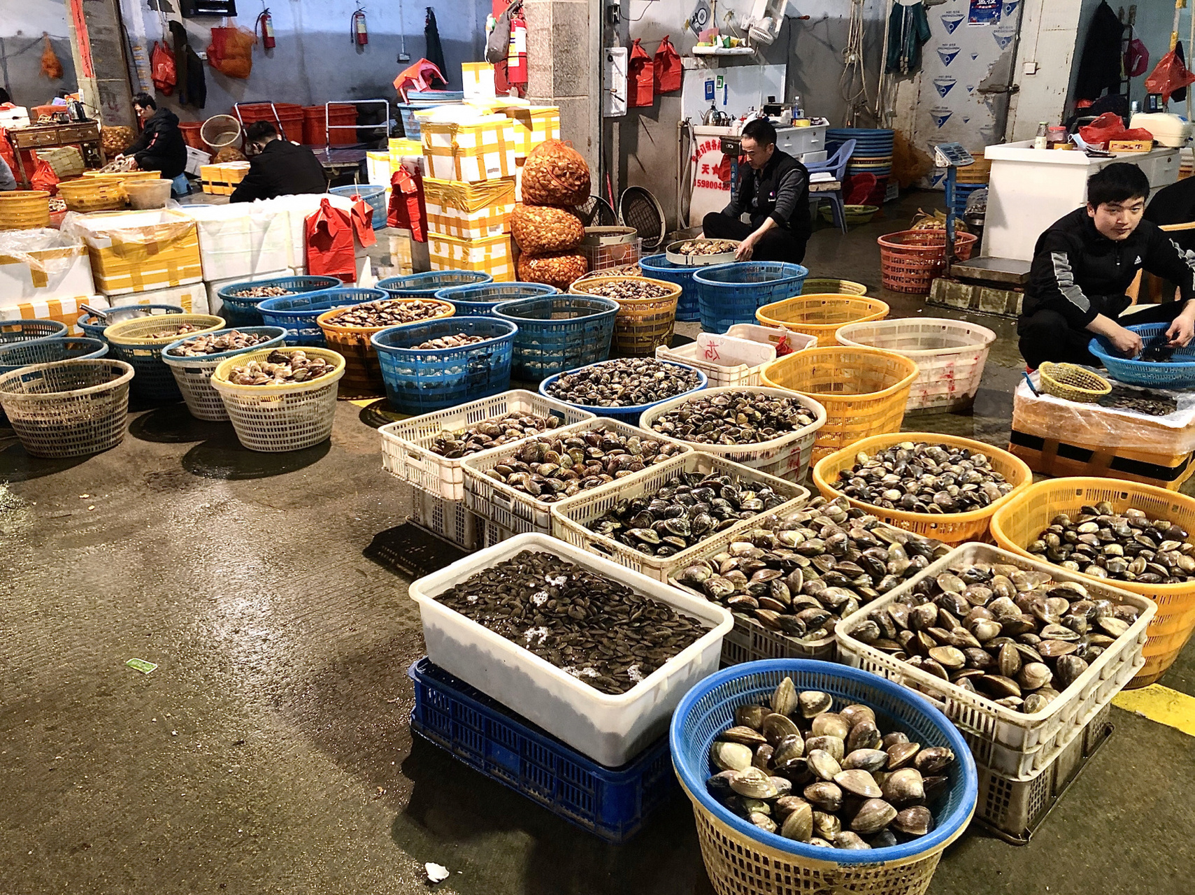 泉州最大的海鲜批发市场 这个市场晚上十一点十二点后才开始热闹起来