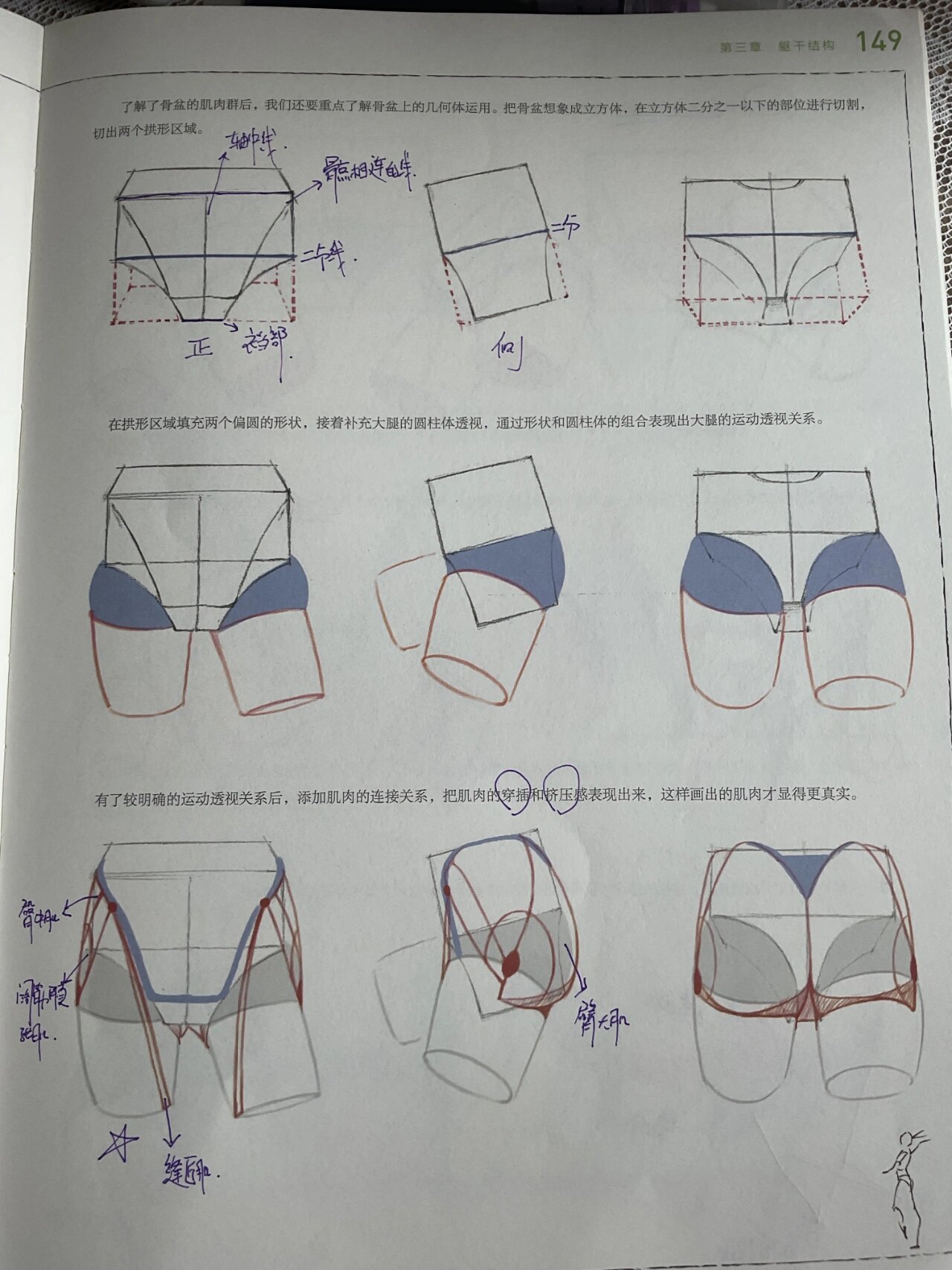 如图一 ②了解胯部四块肌肉 如图二 ③掌握胯部田字格画法 图三 ④