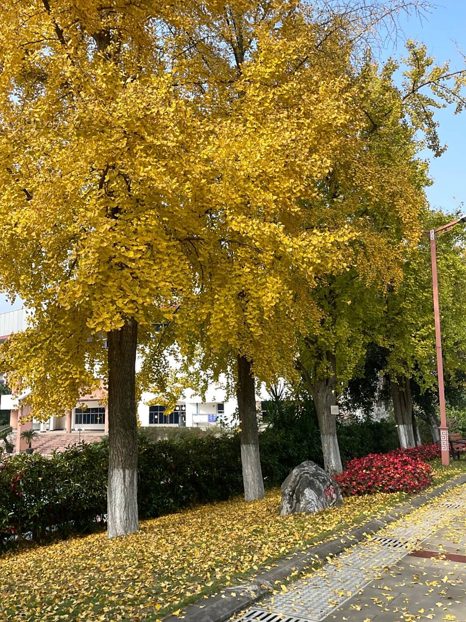 西南石油大学南充校区 能环学姐在线答疑