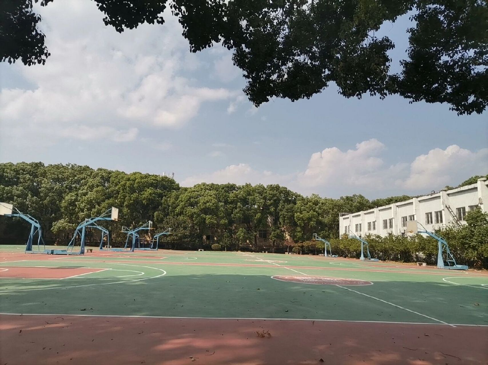 枫林园校区江西财经大学 校训:信敏廉毅 照片都是学姐亲自拍的,就是