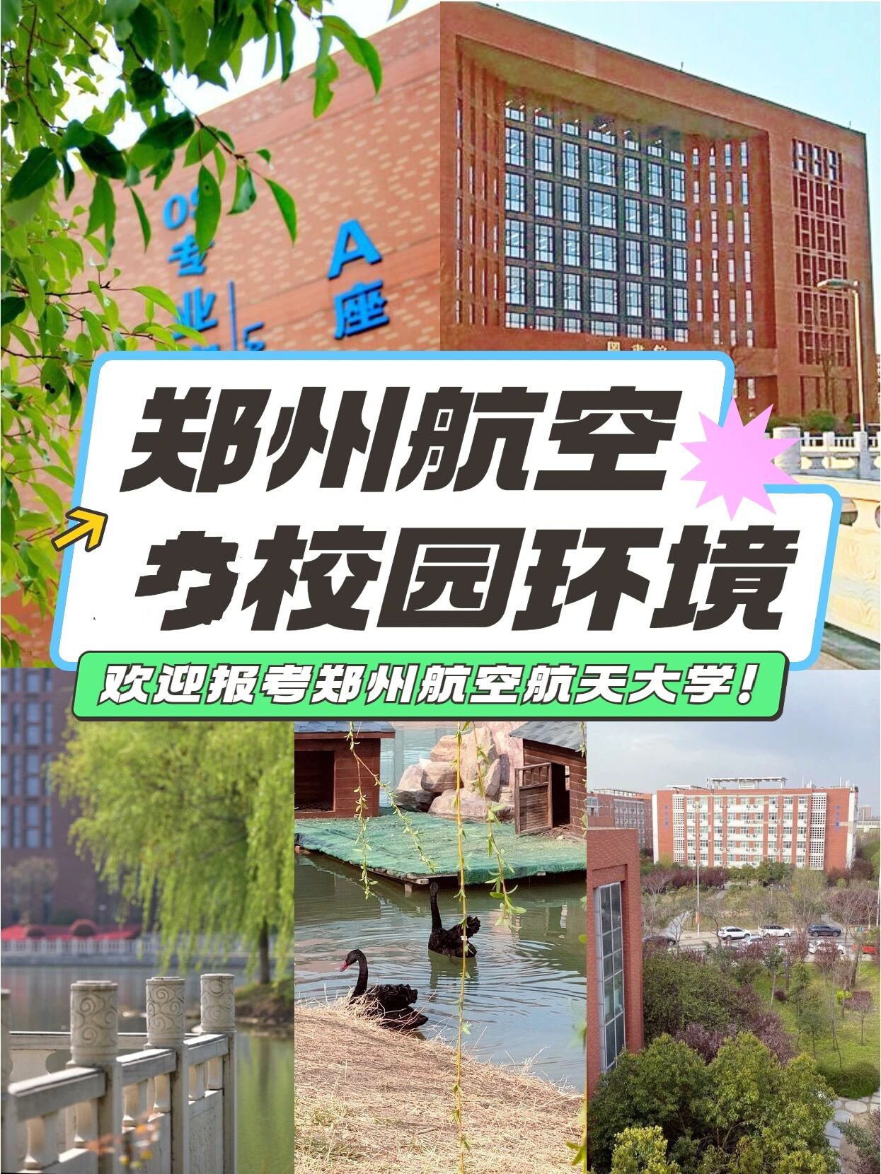 郑航南校区图片