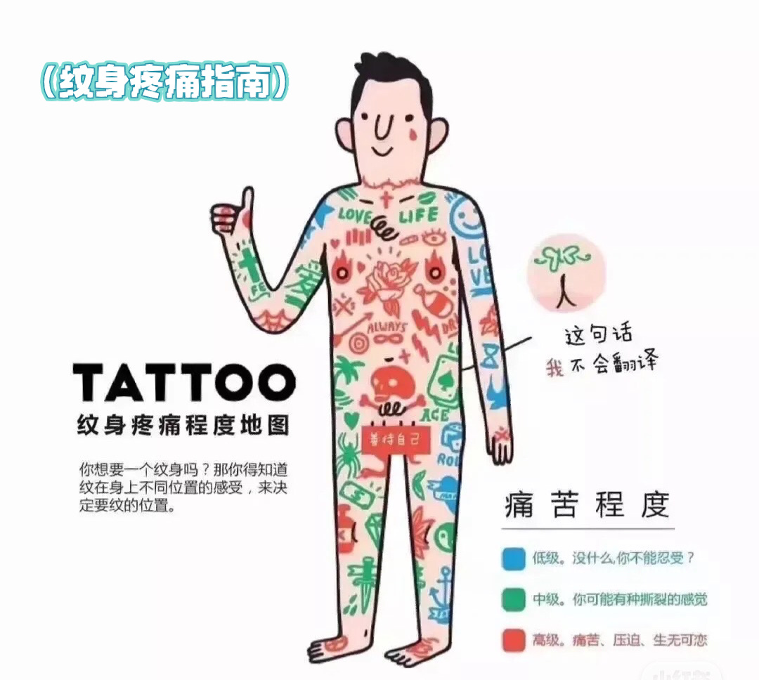 纹身疼痛指南 痛感参考图 别问了 快看图   你们想知道的纹身疼痛指南