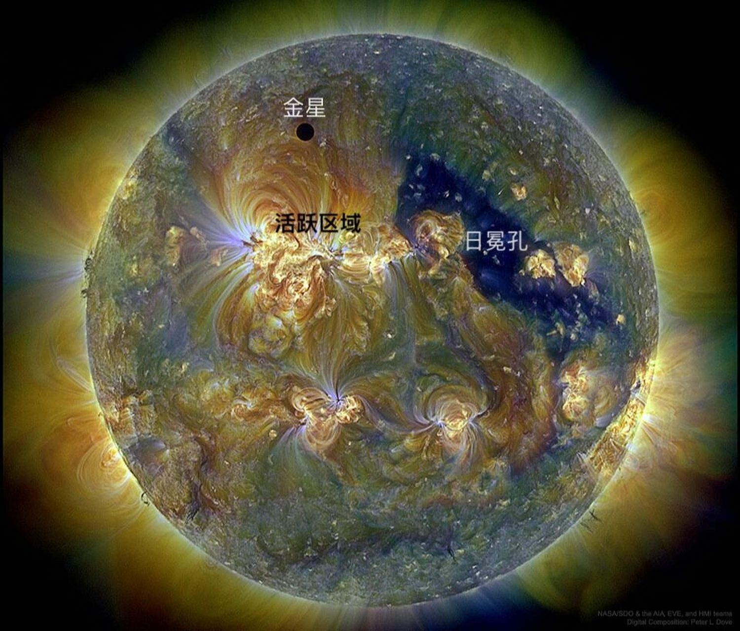 金星凌日2022图片