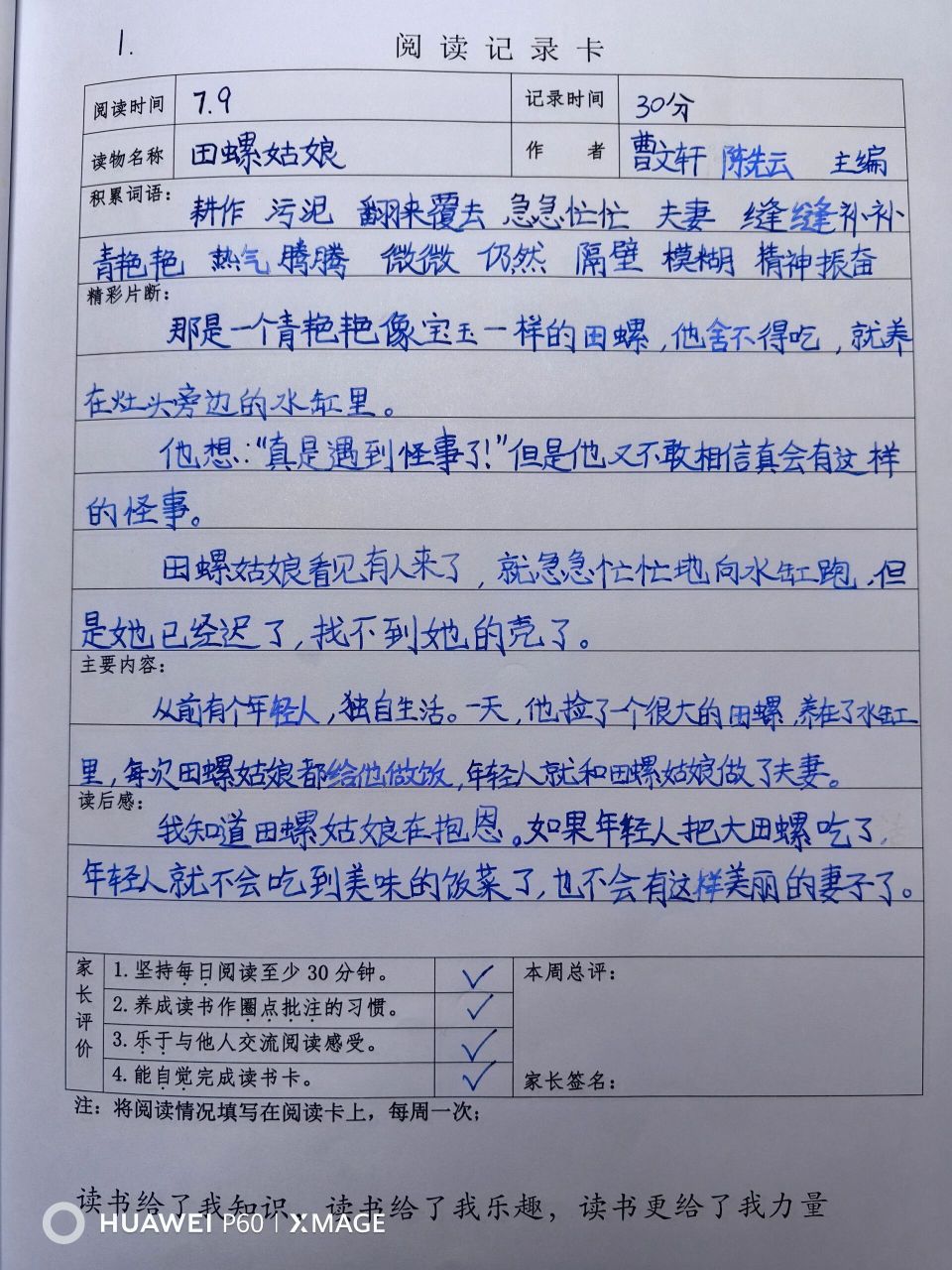 田螺姑娘读后感100字图片