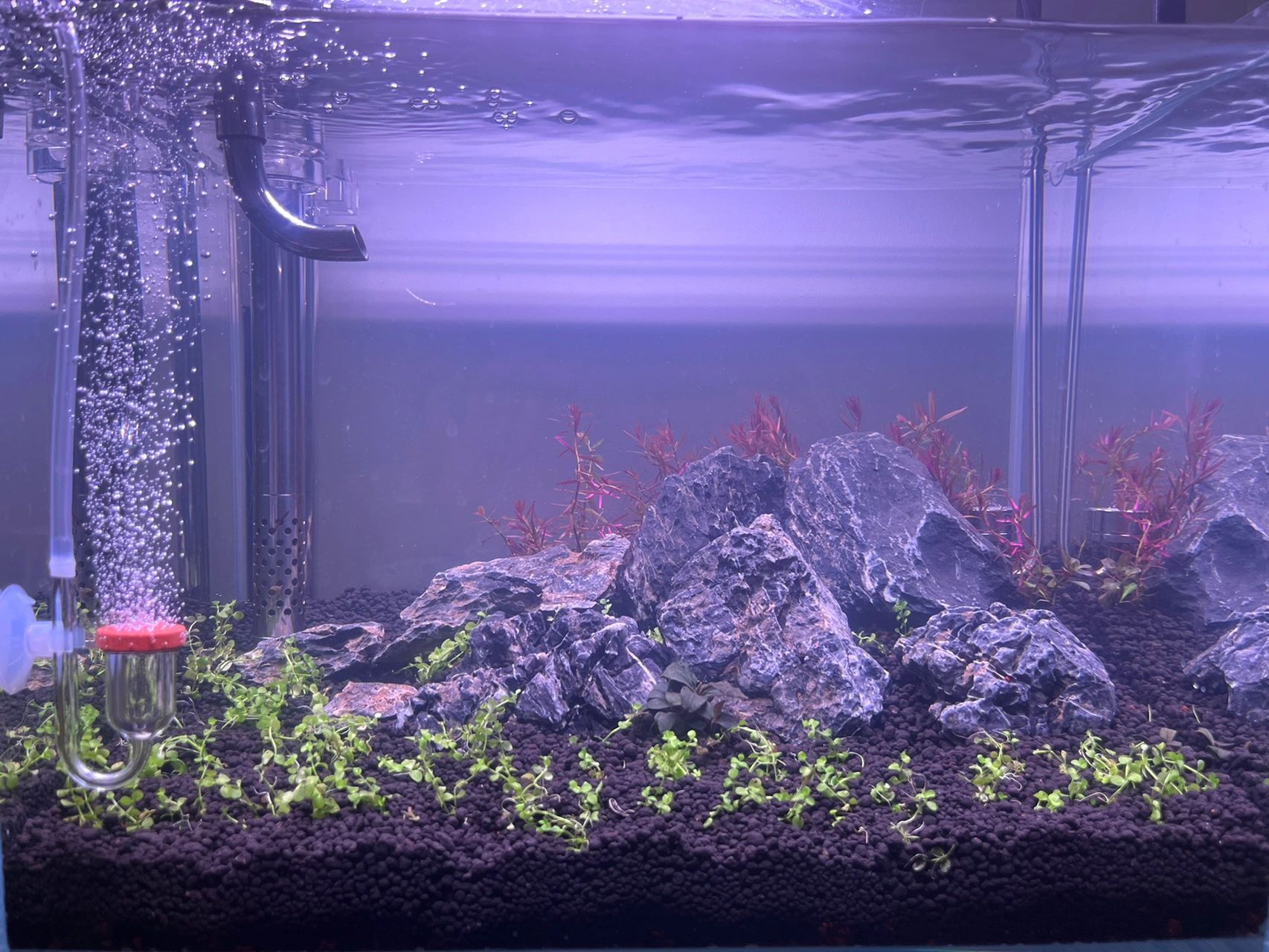 开缸第二天水发白 昨天刚开缸,没经验加水时就加了硝化菌,今天发现水