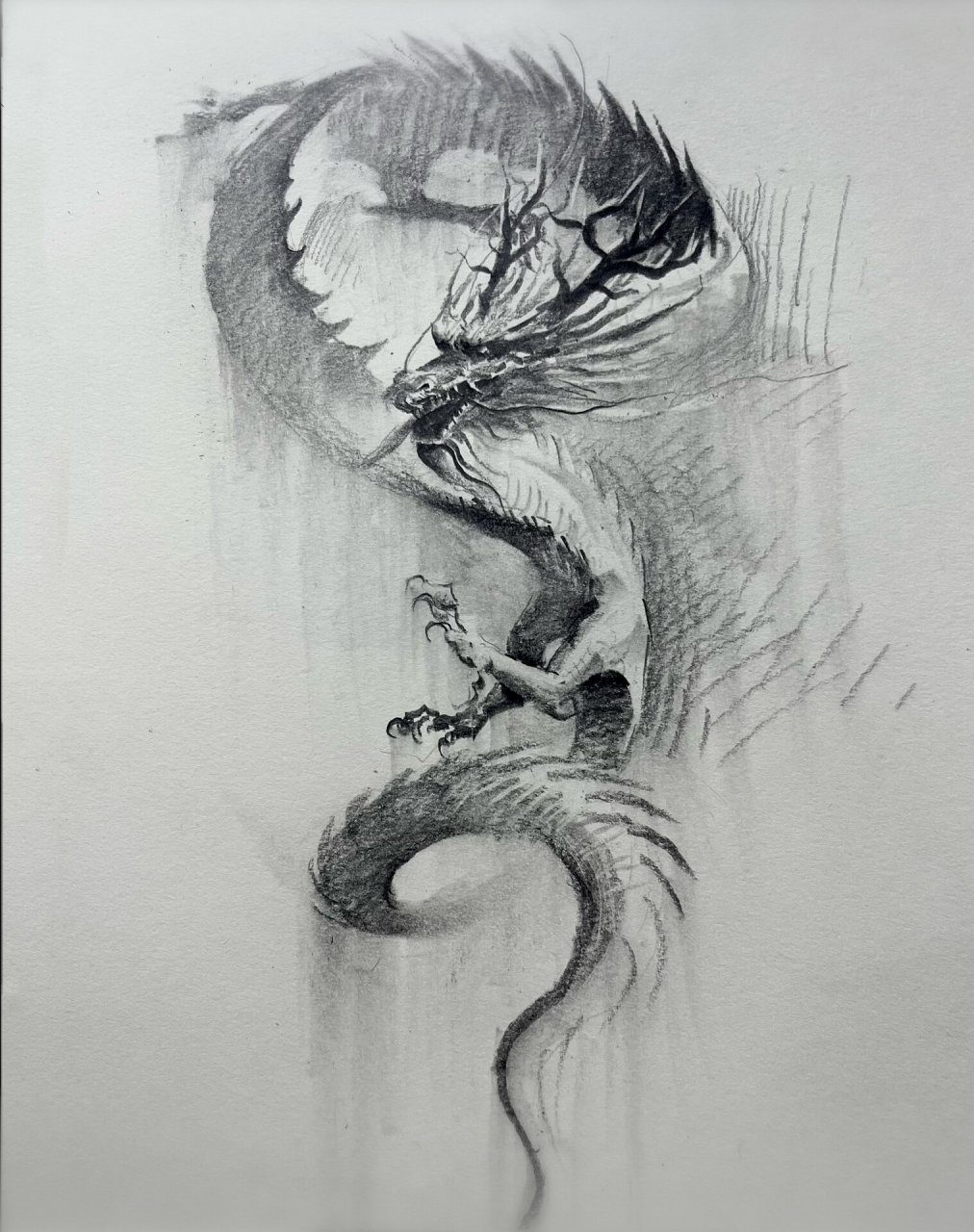 画龙 简单画一条中国龙