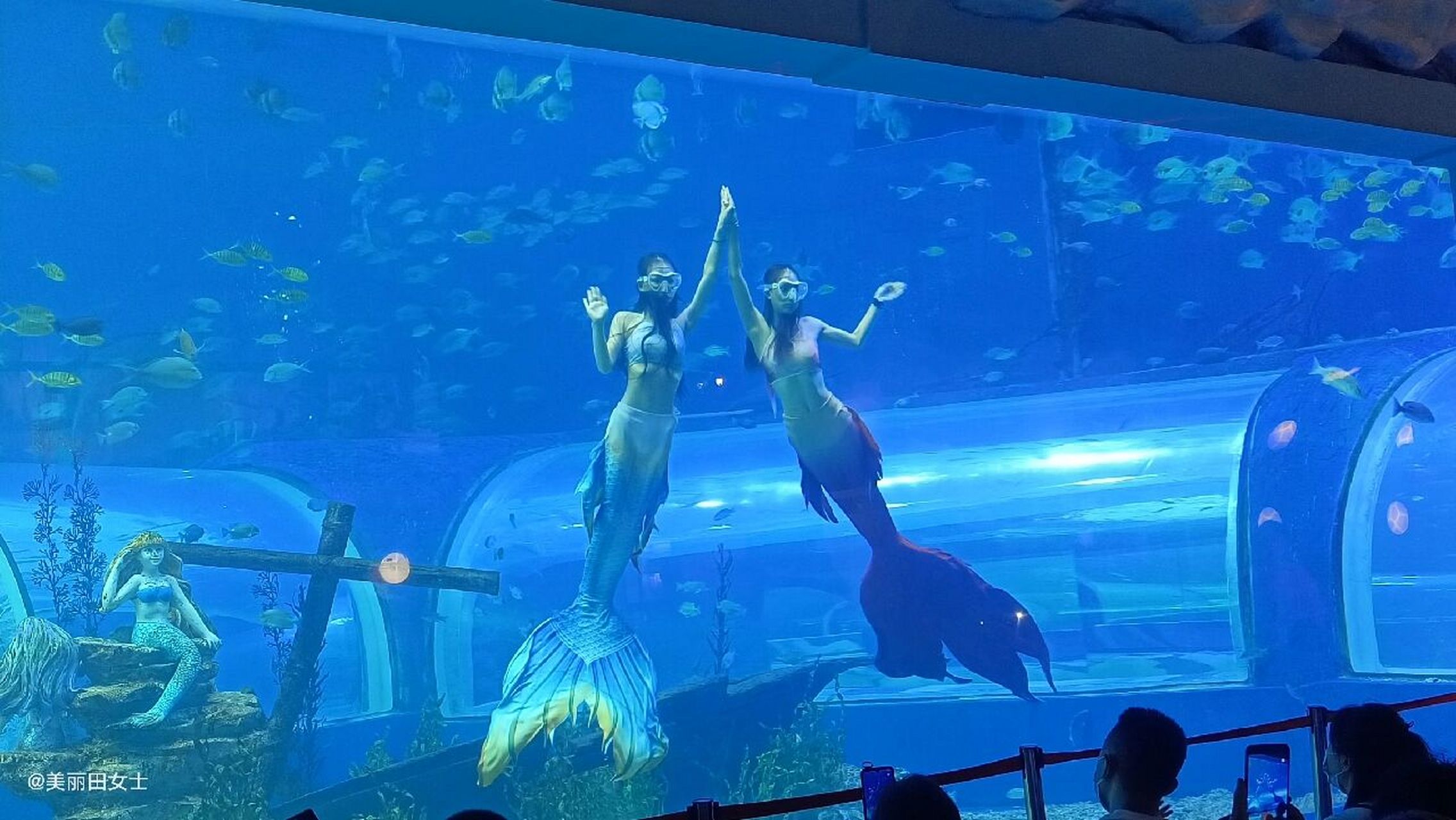 兰州海洋公园到底值不值得去?