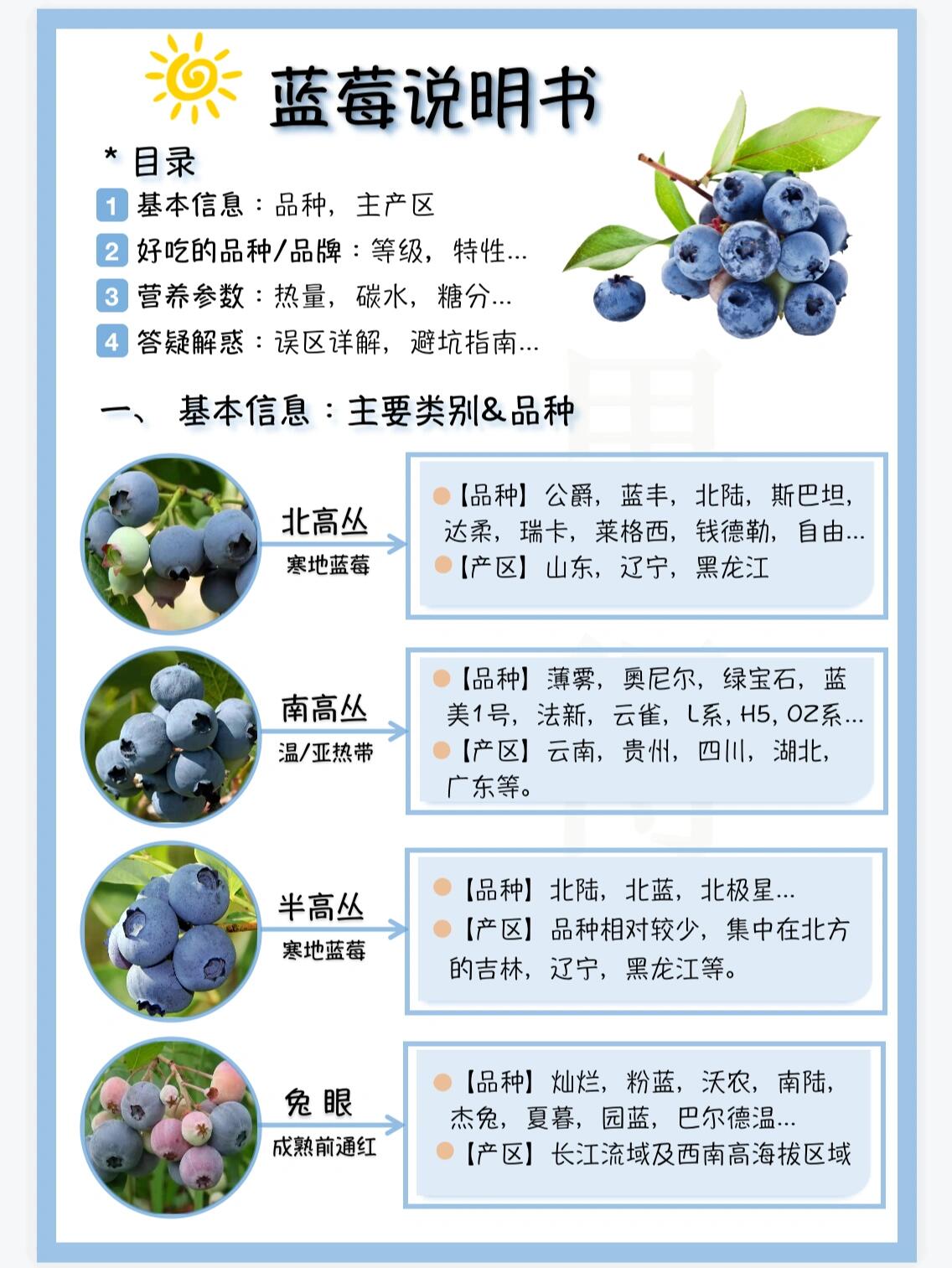 说明书‖蓝莓好吃的品种,等级区分的说明