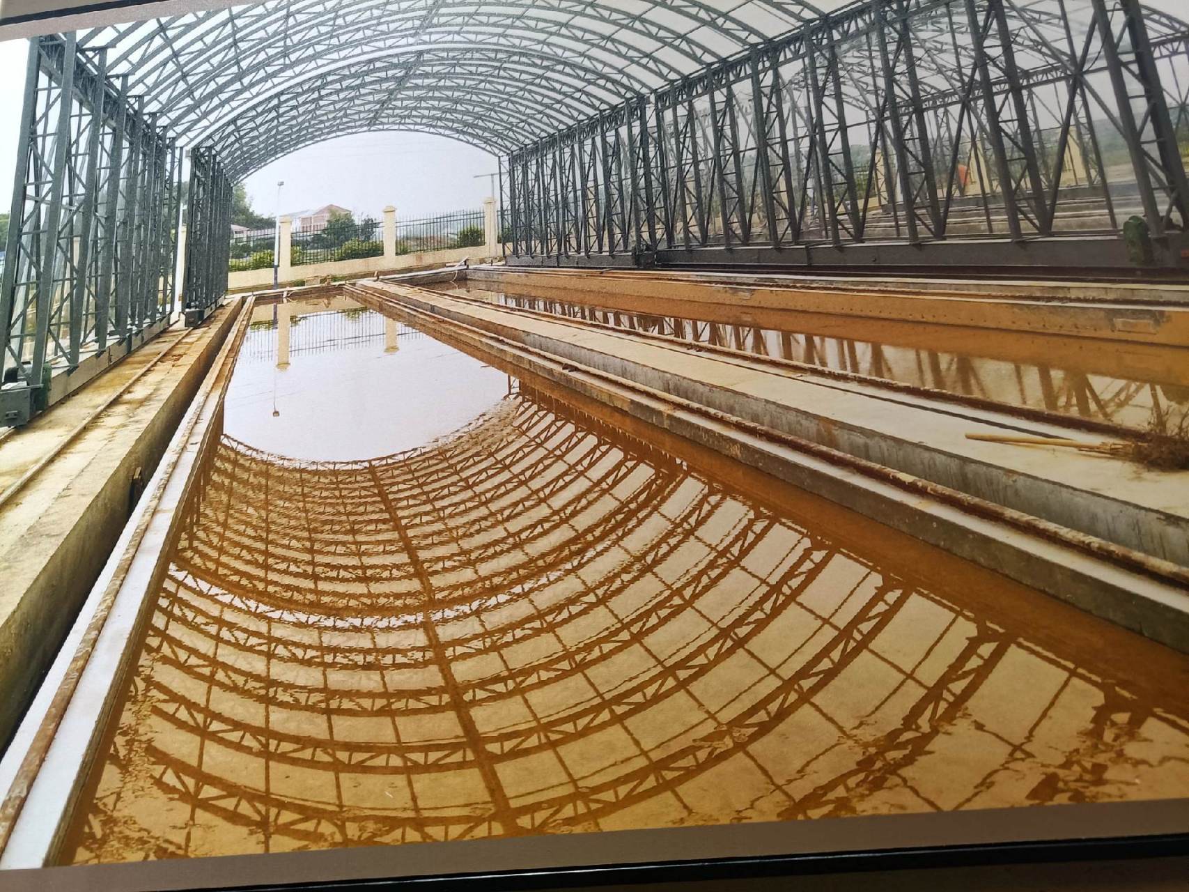 天泰优808水稻种,产量高,米好吃,抗病力强