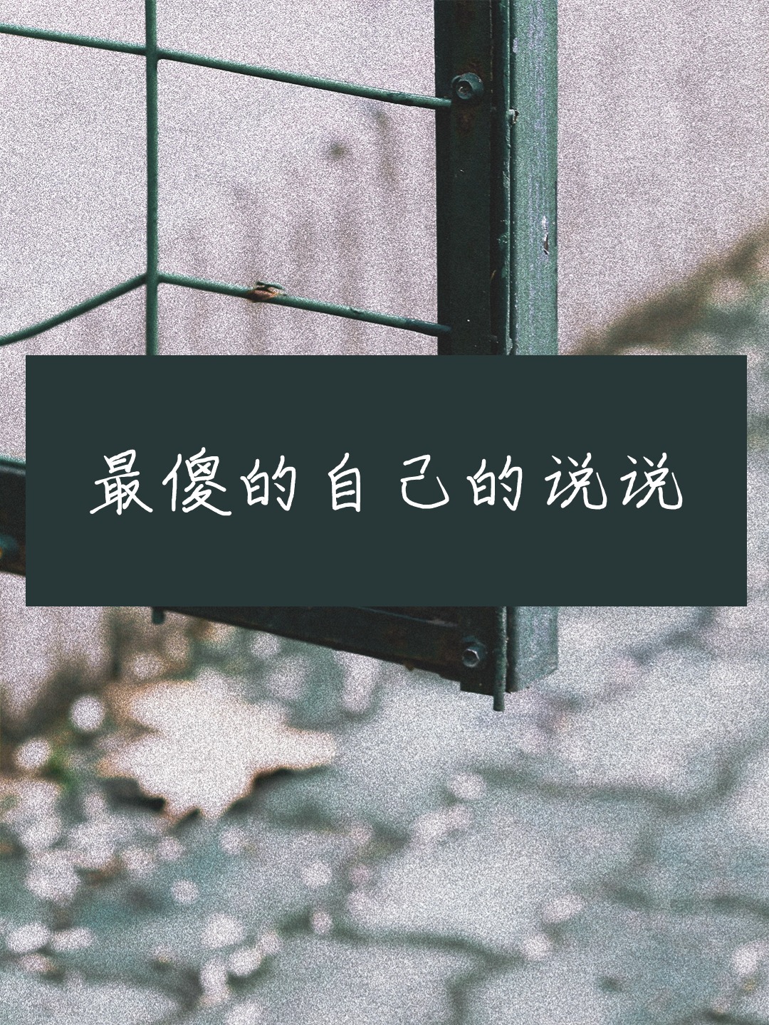 最傻的自己的说说