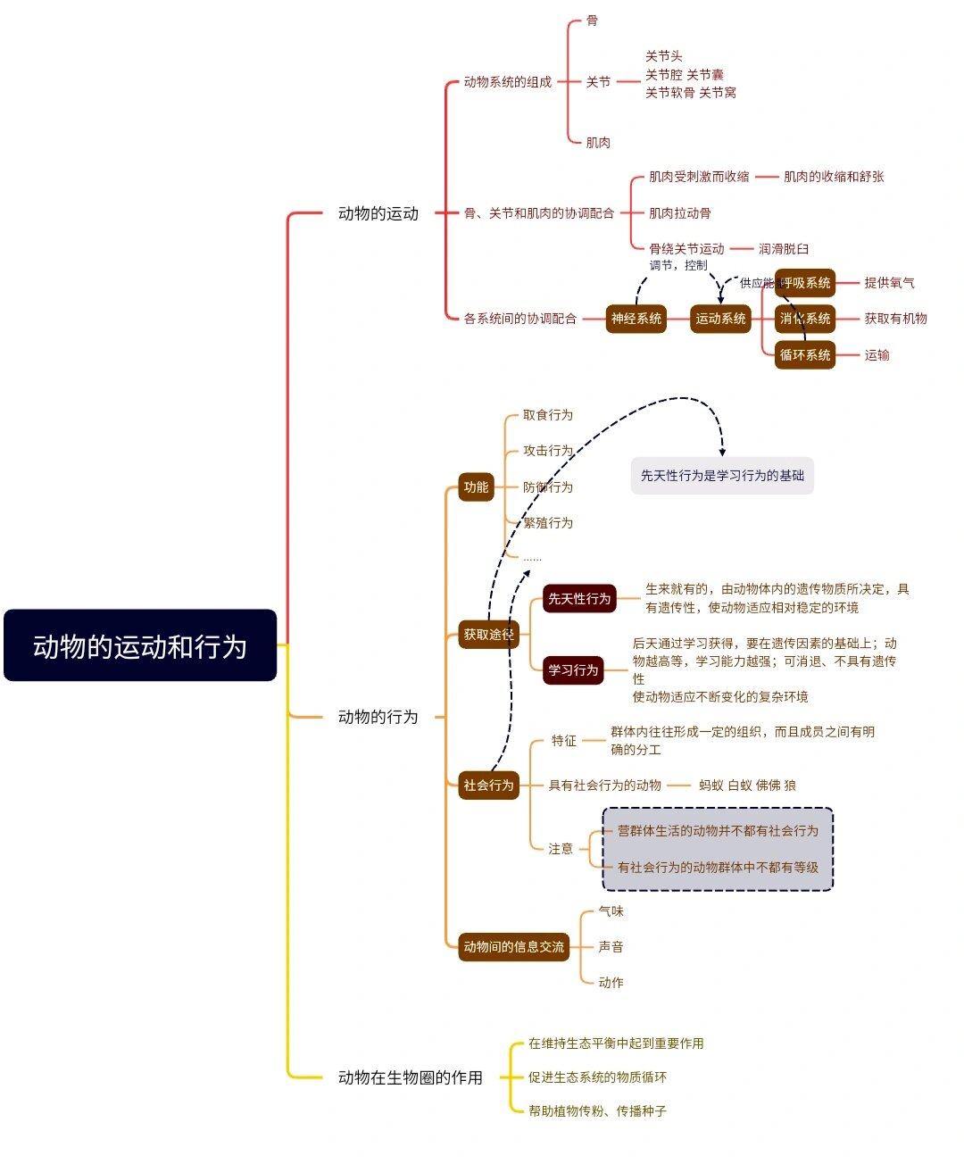 八上生物 第五单元第二章思维导图