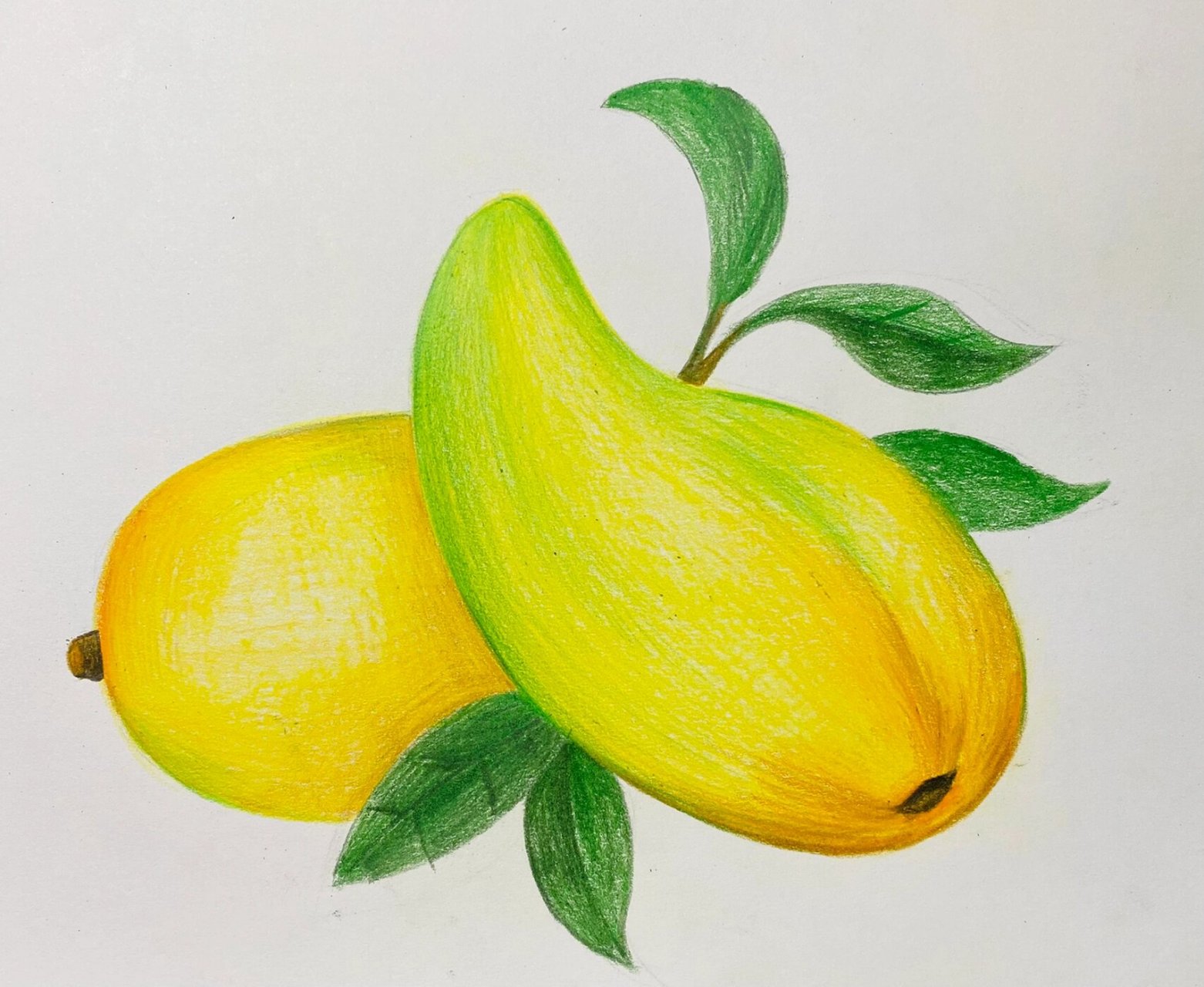 彩铅芒果03