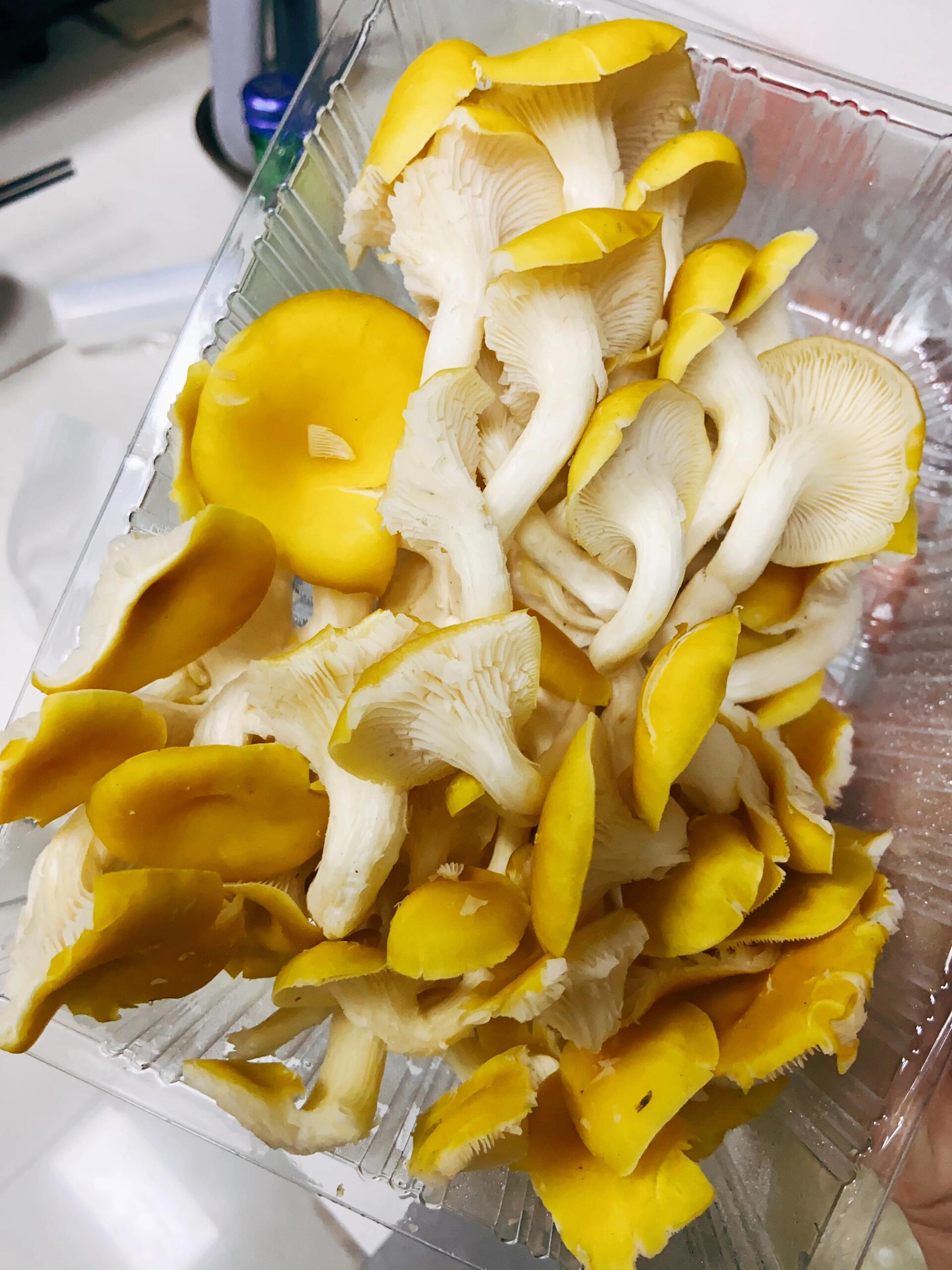 逛超市看到的,这么一盒正好炒一盘菜 鲜蘑菇还是更好吃!