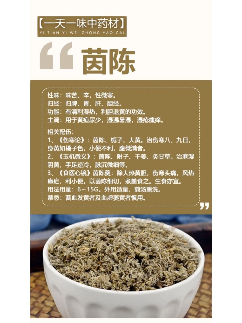 茵陈性味图片