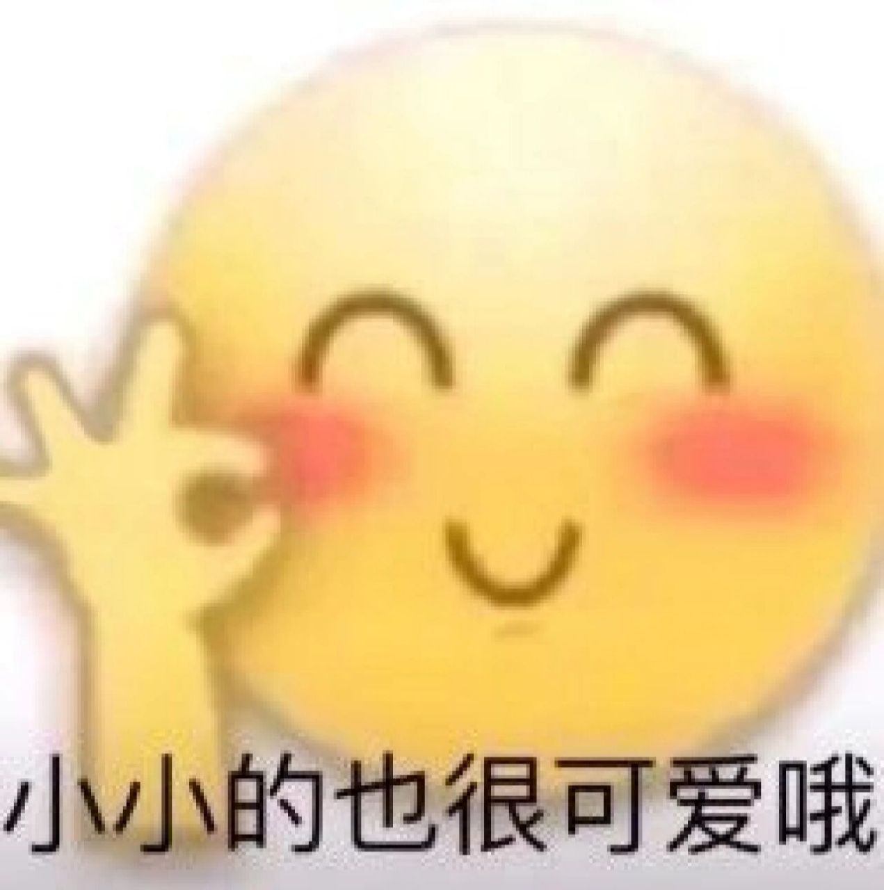 黄豆4图|小小的也很可爱哦