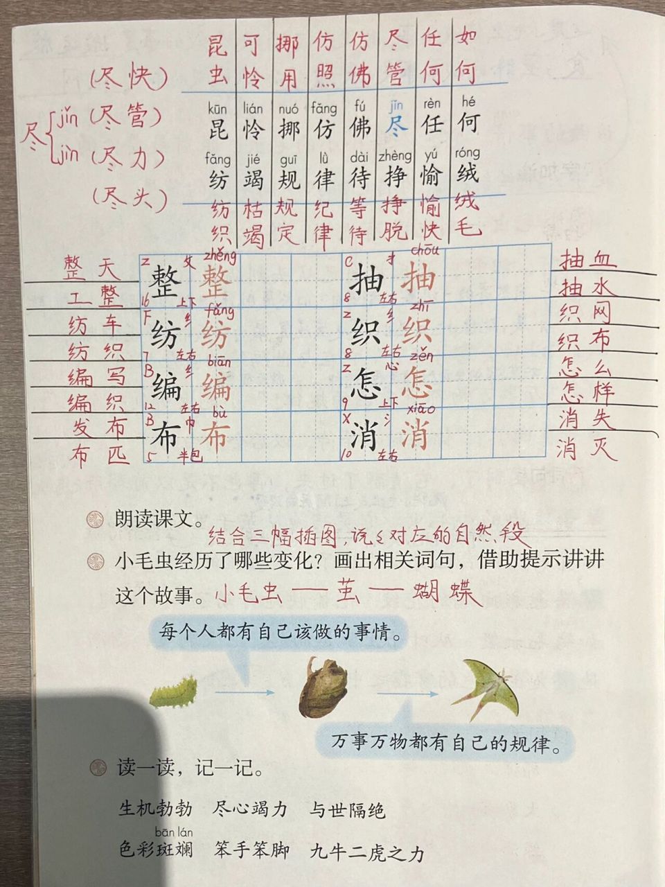 二下课堂笔记《小毛虫》