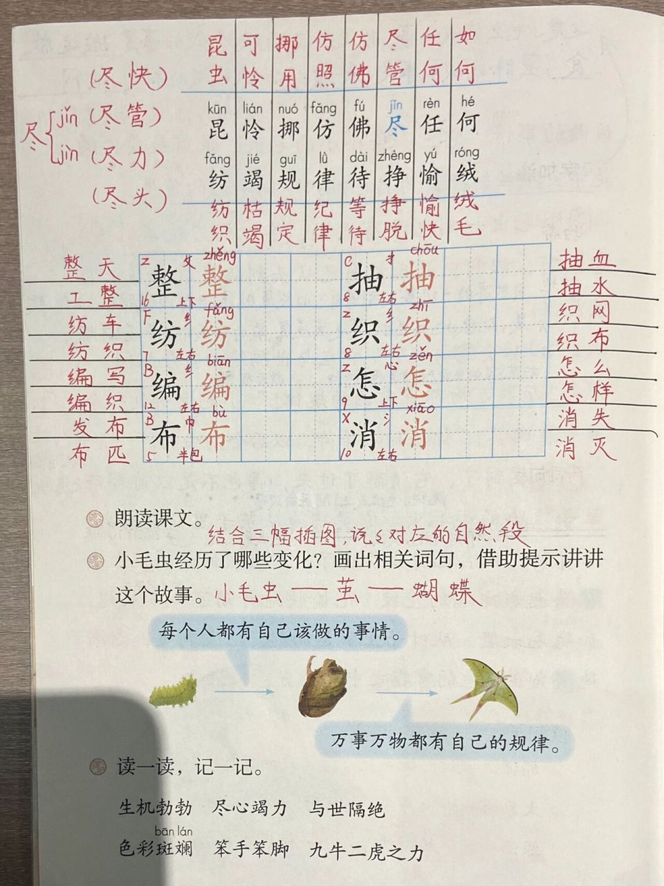 小毛虫课堂笔记图片