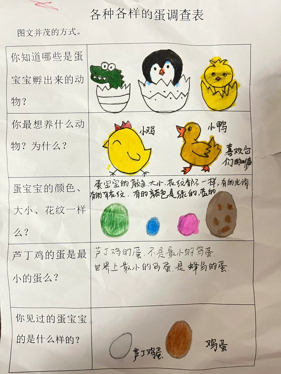 幼儿园各种各样的蛋调查表 幼儿园又布置作业啦!