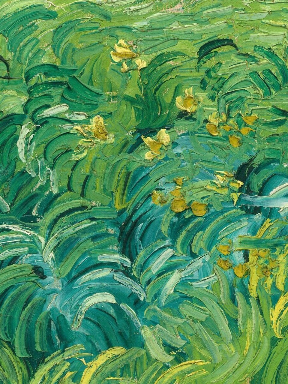 名画巡礼|文森特·梵高《绿色的麦田》 在文森特·梵高的这幅风景画中