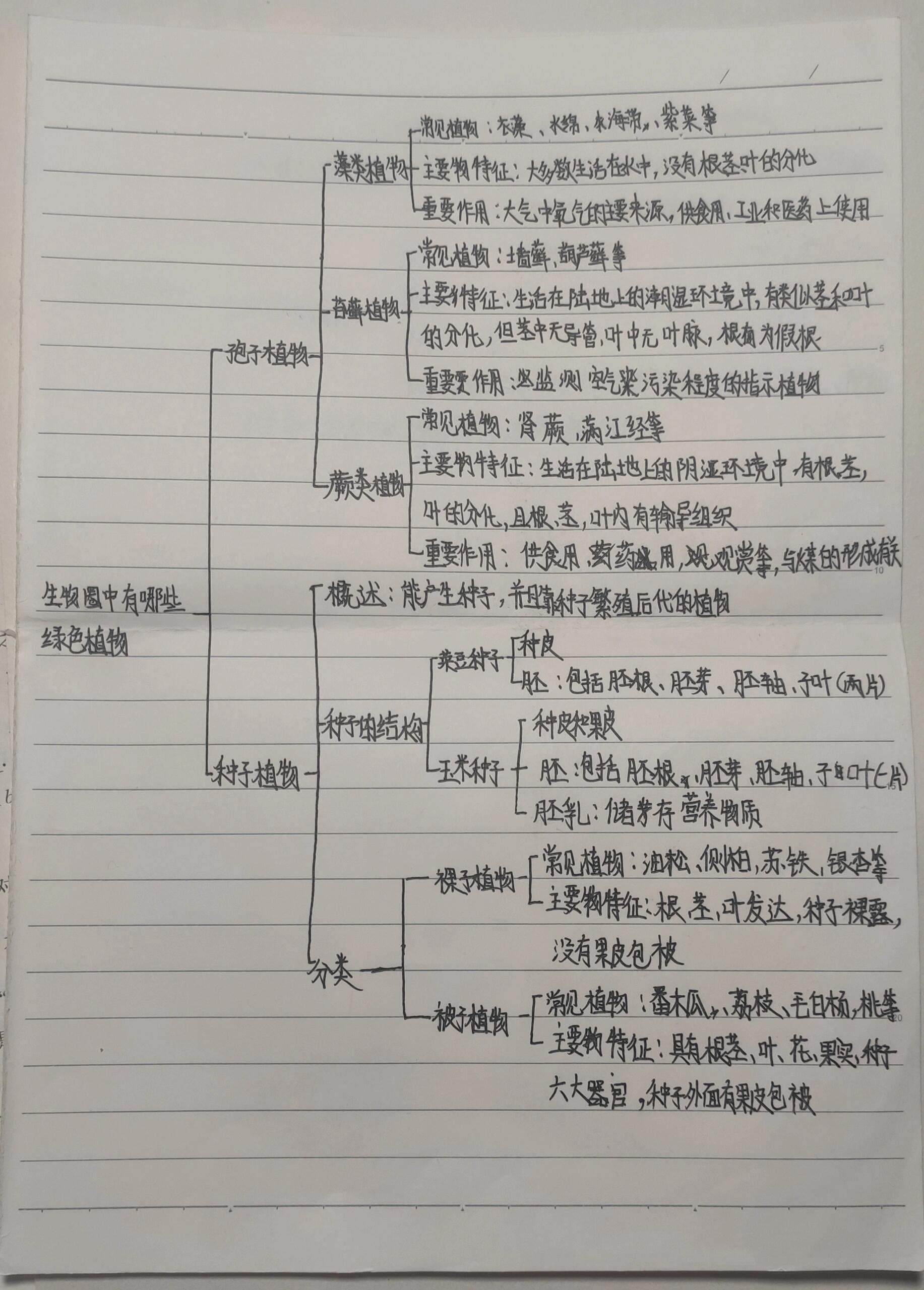 七年级上册生物第三单元第一章思维导图 人教版