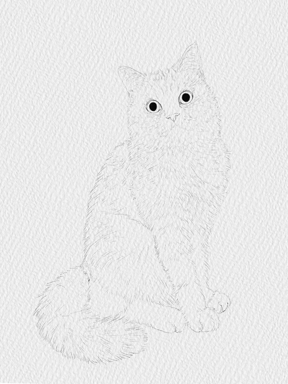 英短银渐层猫猫插画～宠物装饰画定制～ 这幅画的猫猫叫北海～超级