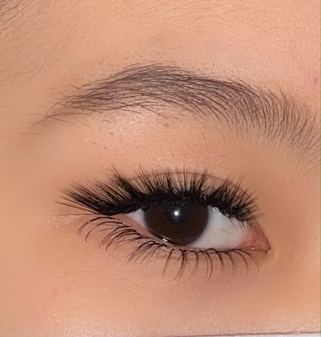 眼型上扬的姐妹看过来!