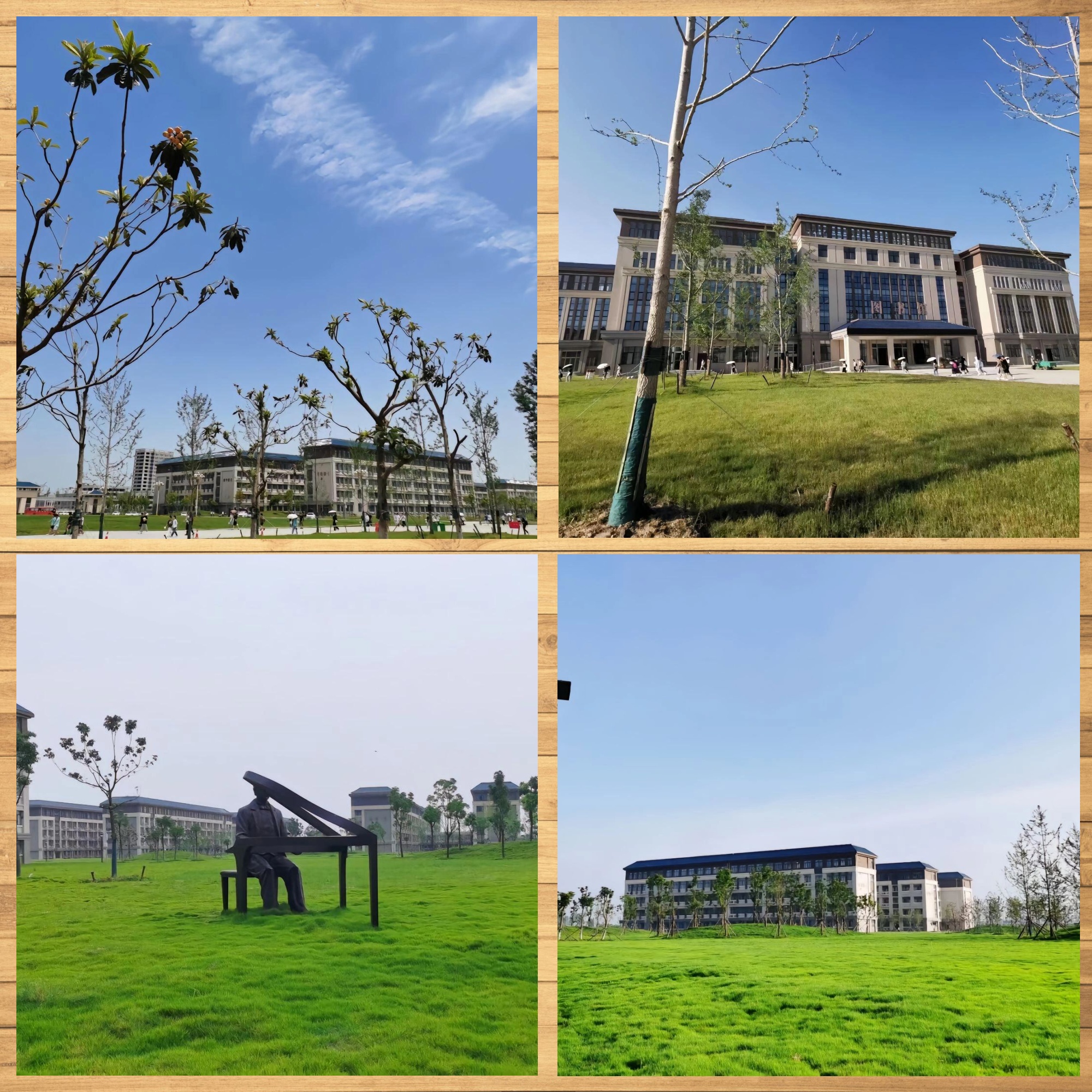 荆州学院: 绿意盎然学府风光秀美