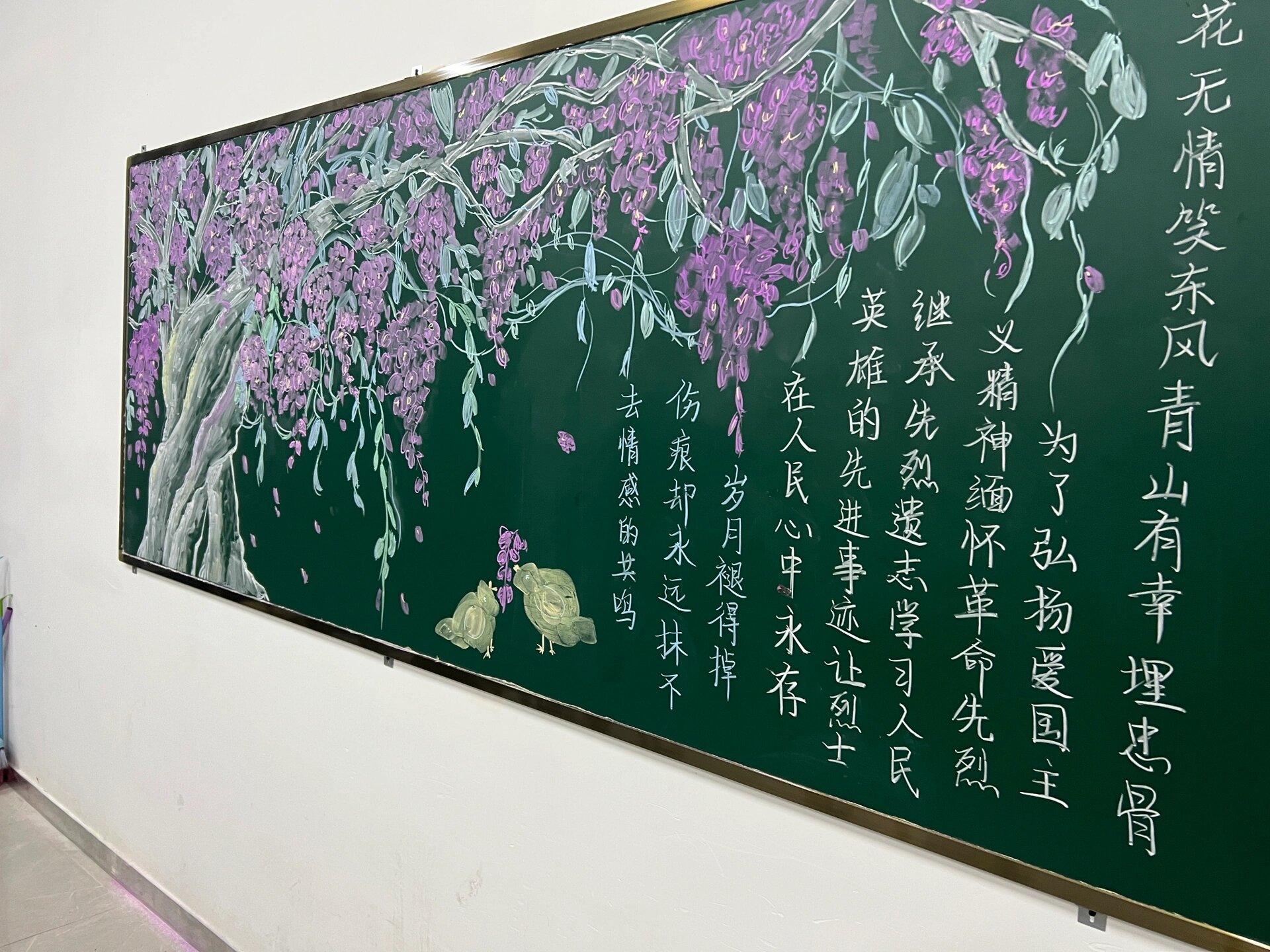 紫藤花黑板报91 小鸡是随手画的 不太细致 不是原创找不到原作者了