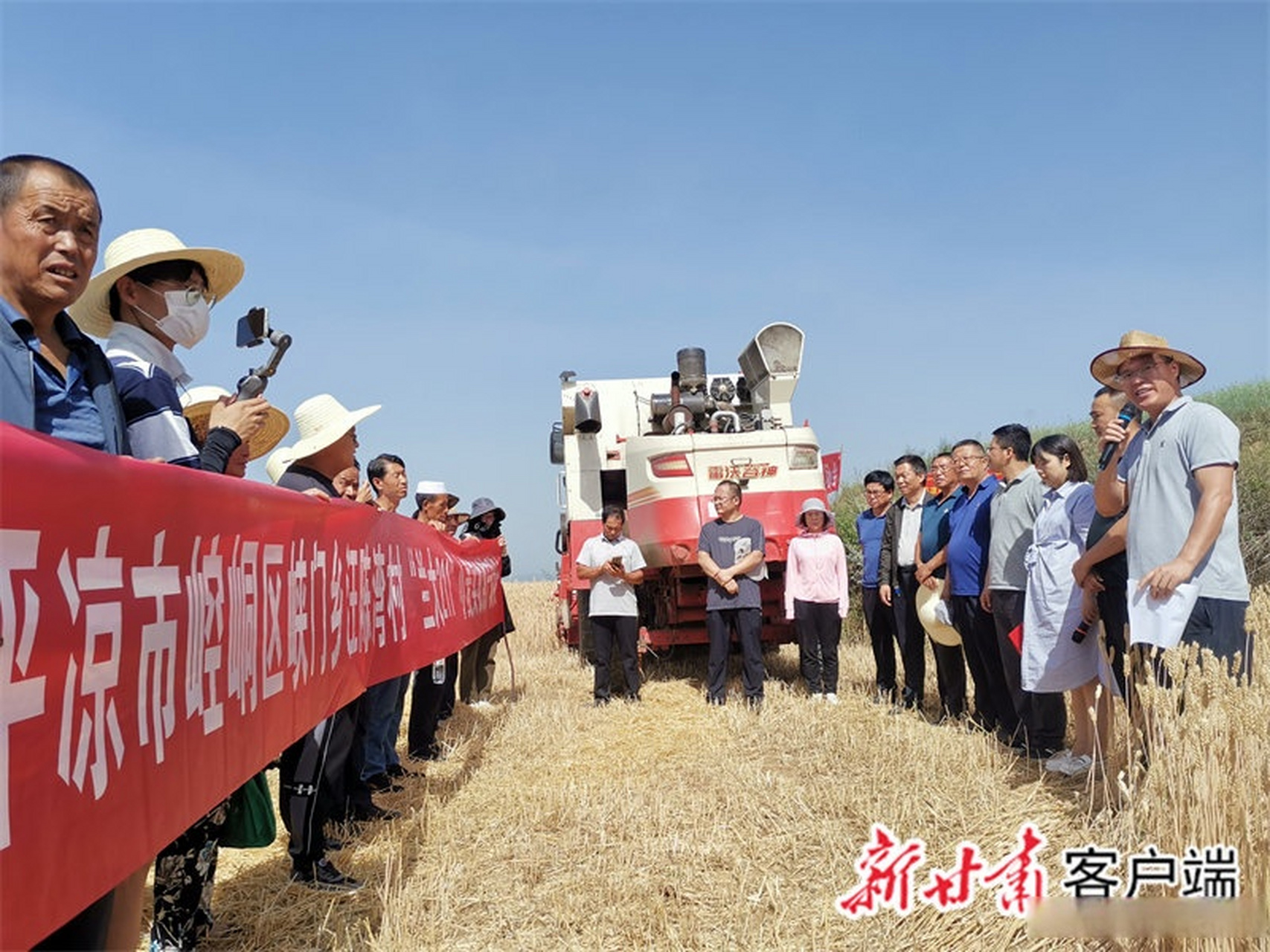 【兰大211小麦试种成功 ,培育者李凤民已加盟南京农业大学】据《甘肃