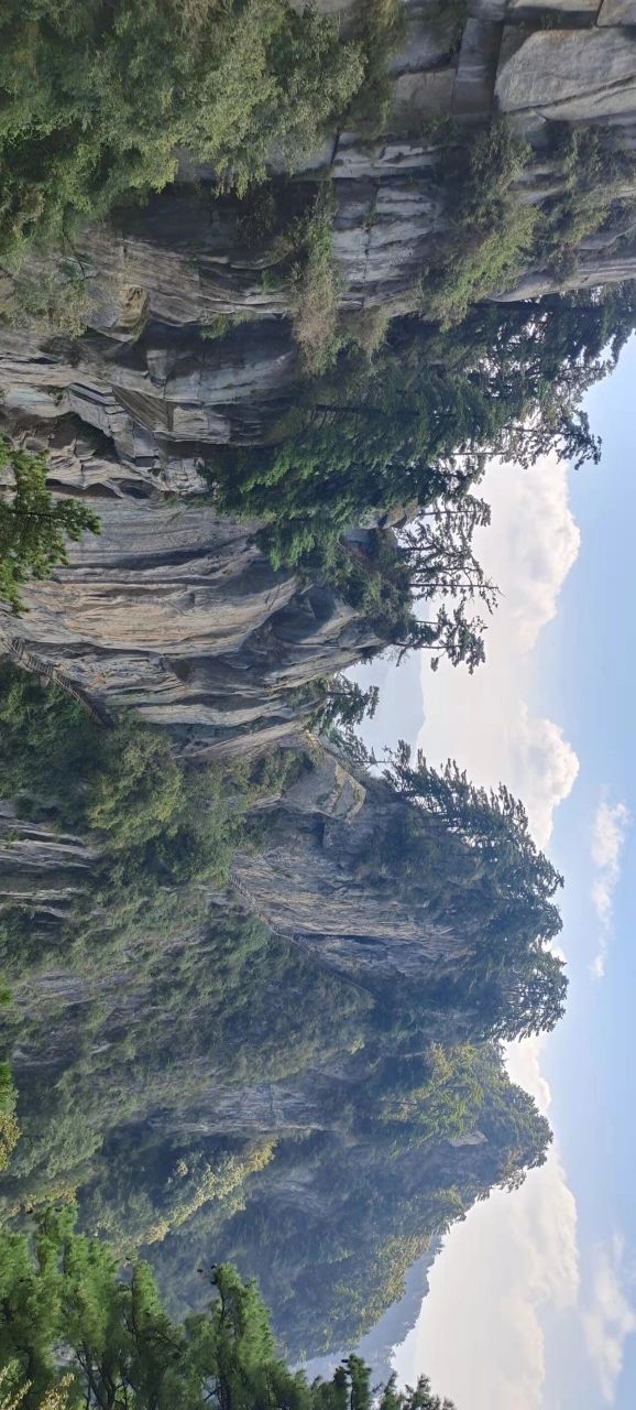 河南省唯一的世界级遗产自然保护区! 景区共分为三个小景区:1.