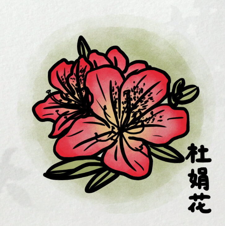 杜鹃花的简笔画法
