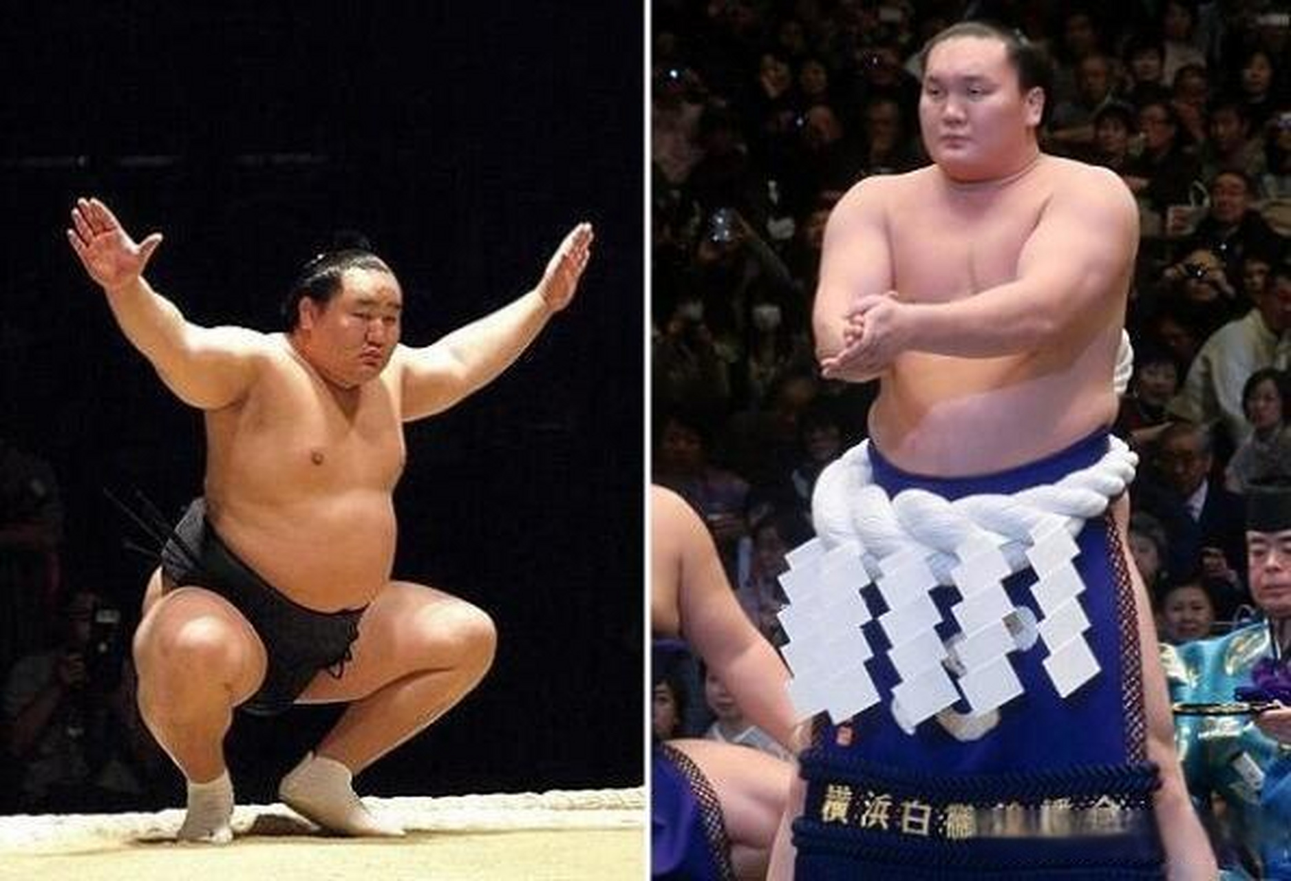 朝青龙和白鹏性格迥异,结局不同,你赞同谁的选择 尽管又很多证据表明