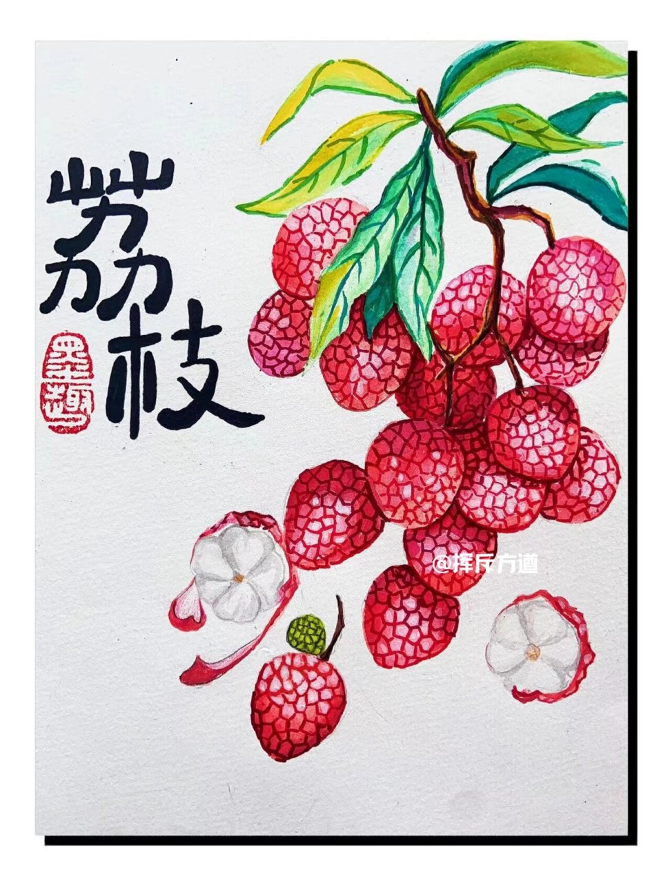 美味的荔枝不仅好吃还好看 一起走近荔枝,了解荔枝 用水彩技法画一画
