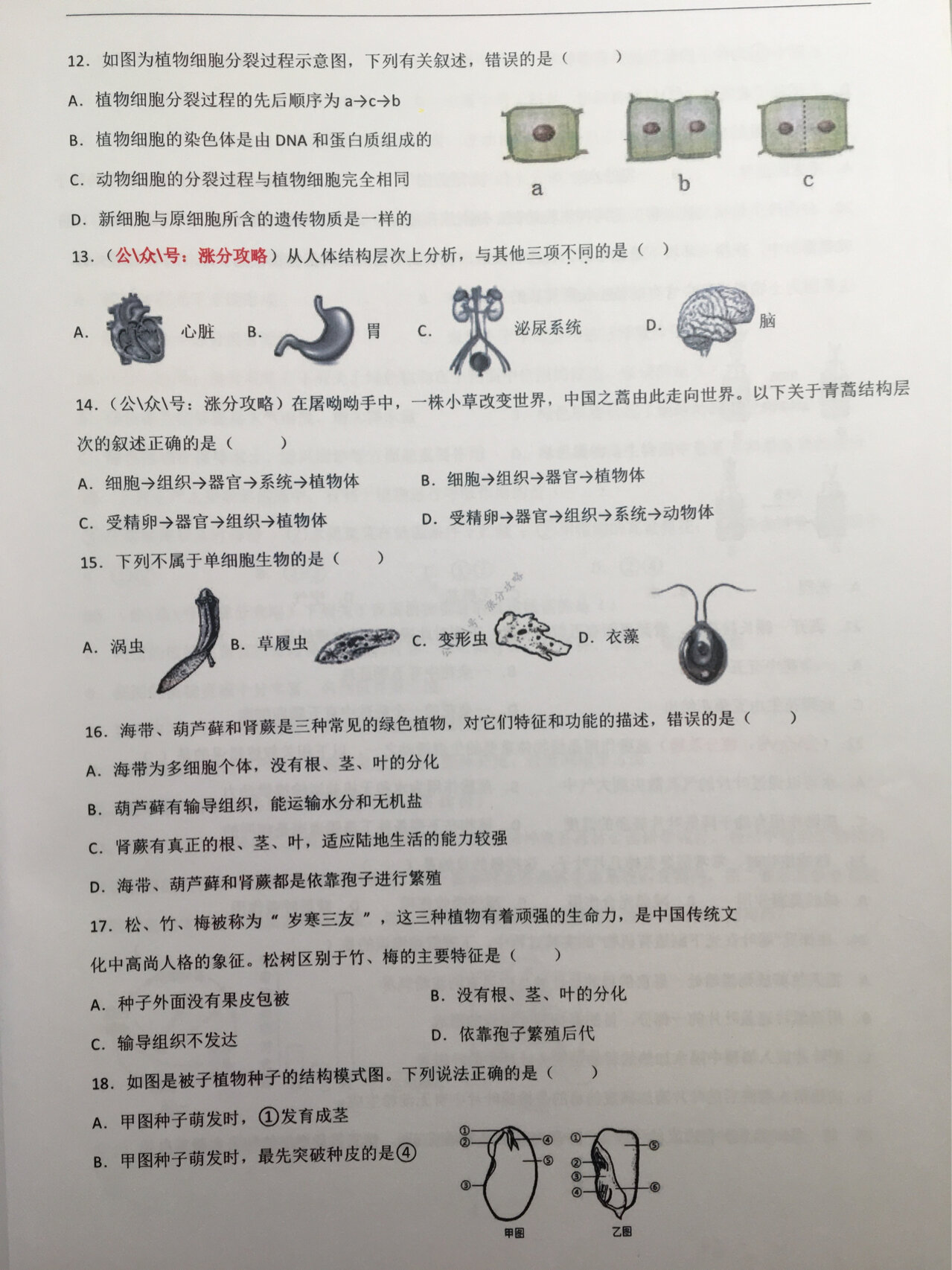 七年级上册生物期末真题试卷及答案1(2