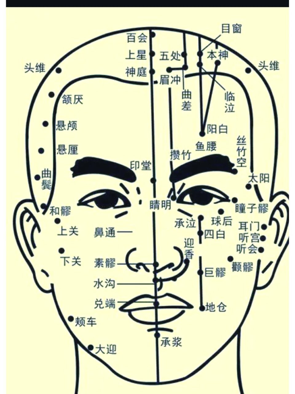 脸部的部位名称图解图片