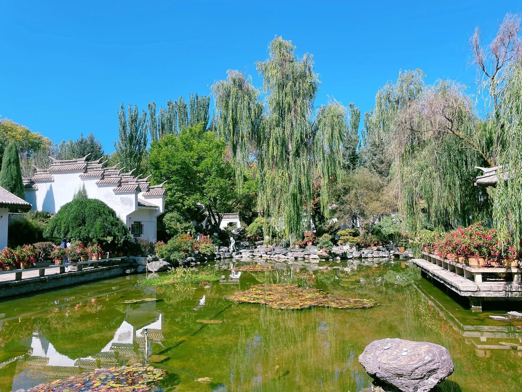 误入江南～西宁植物园 之盆景园  刷到好久了,也许也是热衷于各种探店