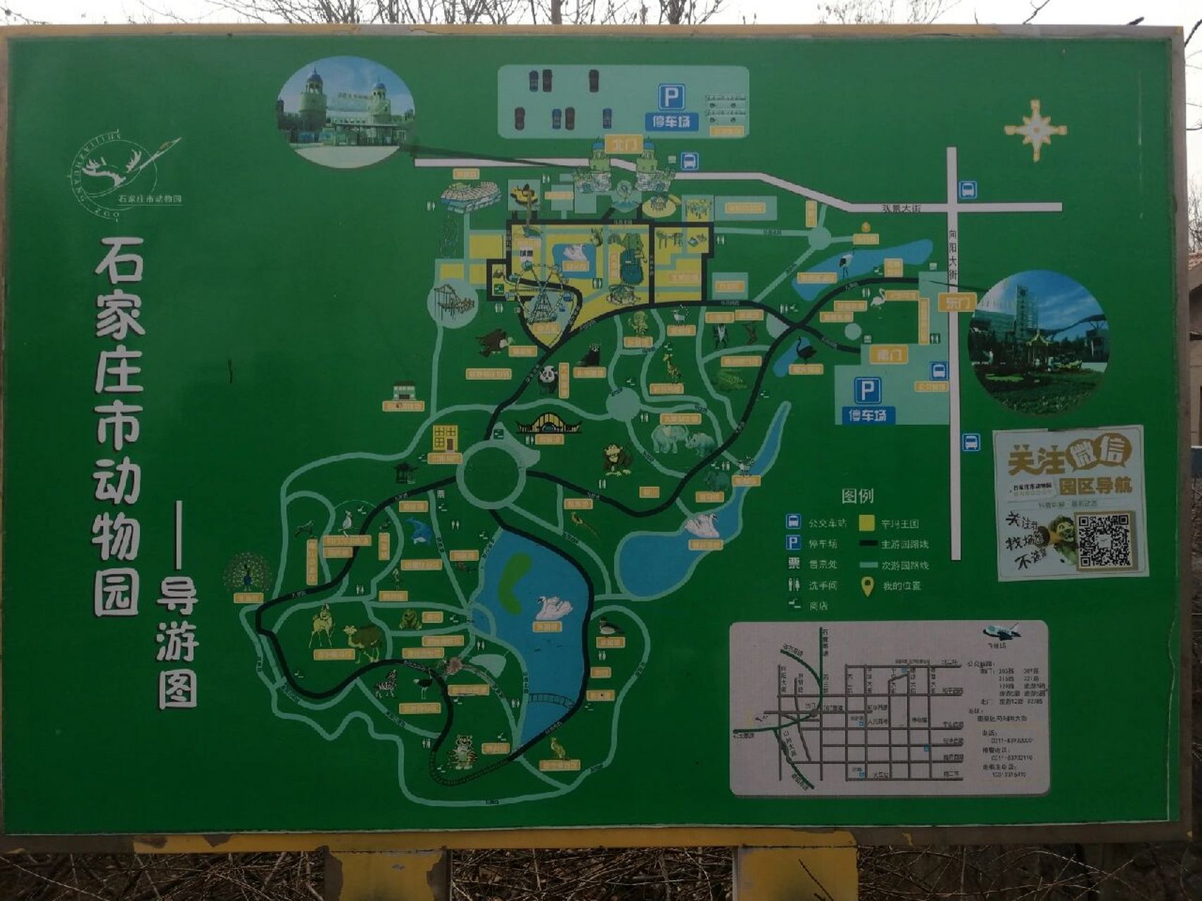 石家庄动物园自驾游攻略 今天2023.2.