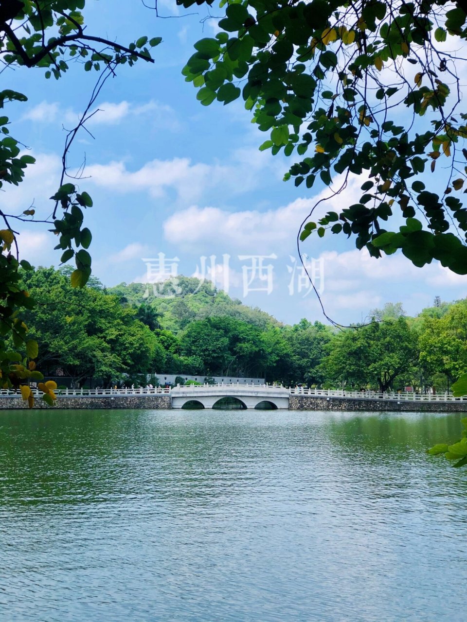 99惠州西湖 | 观赏西湖美景游自然美景98 99惠州西湖 | 观赏