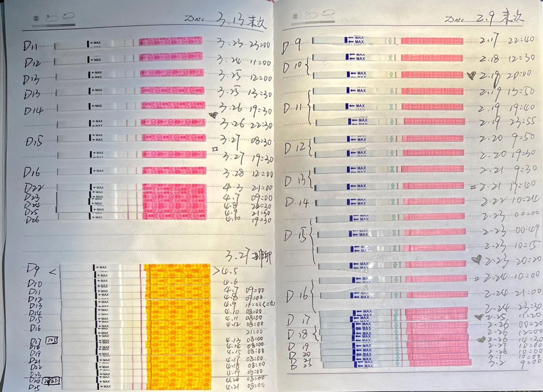 金秀儿早孕试纸对照表图片