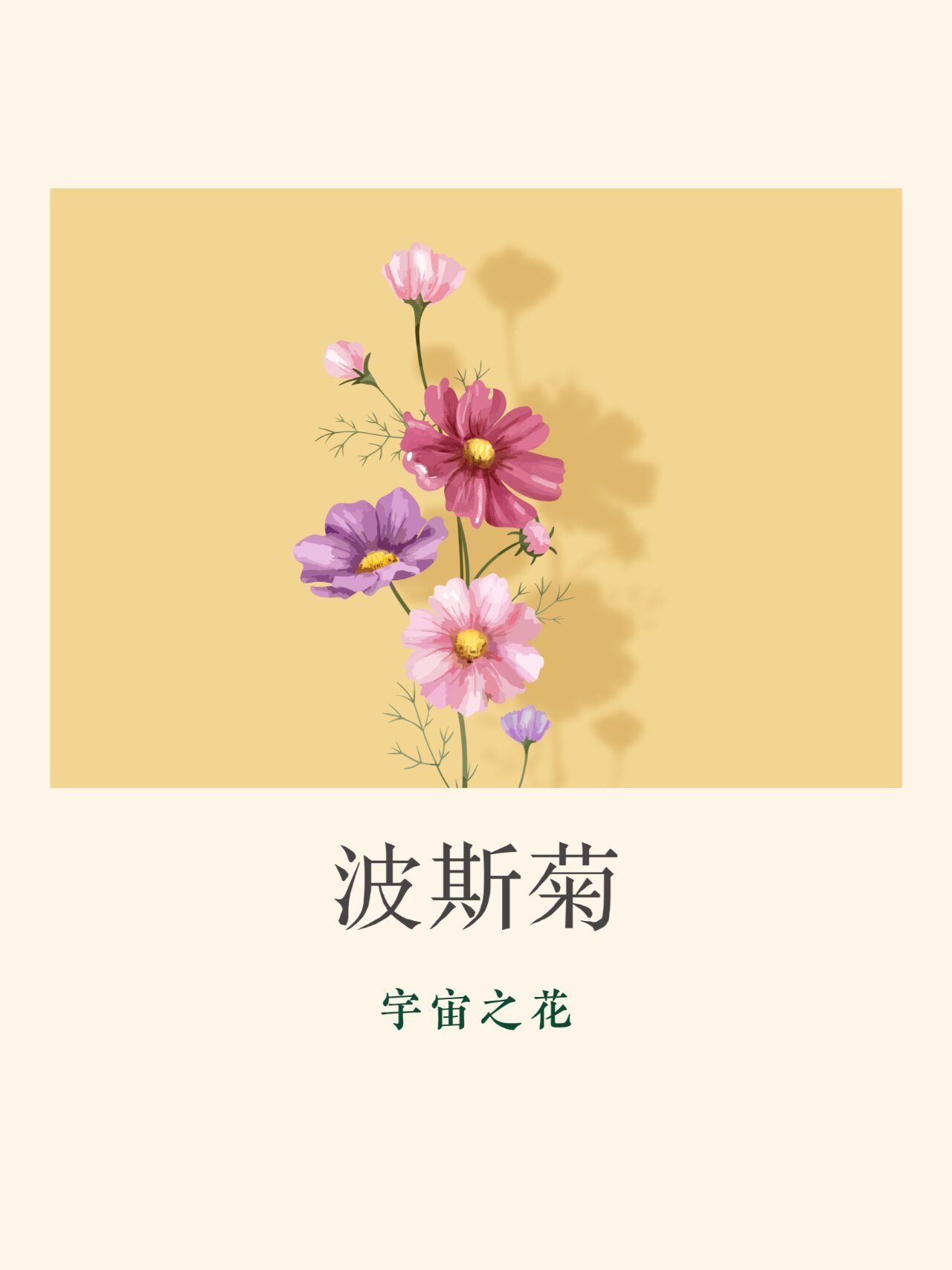 花语花事112