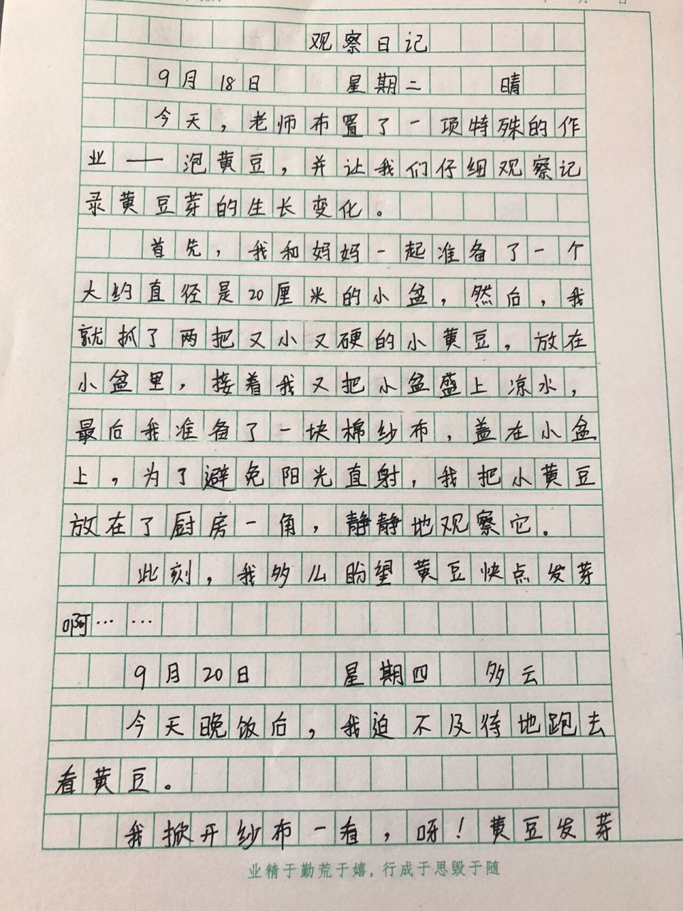 观察动物日记400字四年级上册(观察日记400字左右四年级上册动物三篇)