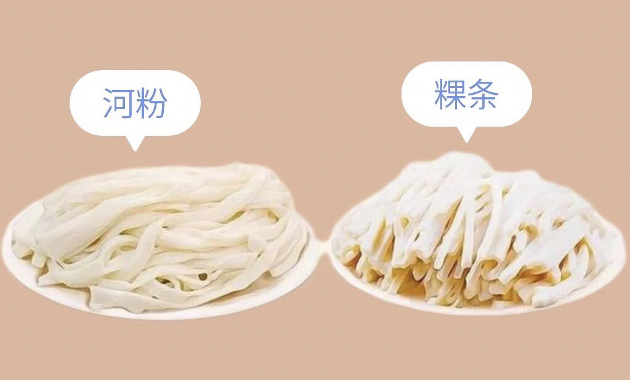 粿条和河粉的区别,进来聊聊 粿条和河粉的区别是:原料不同,外观不同