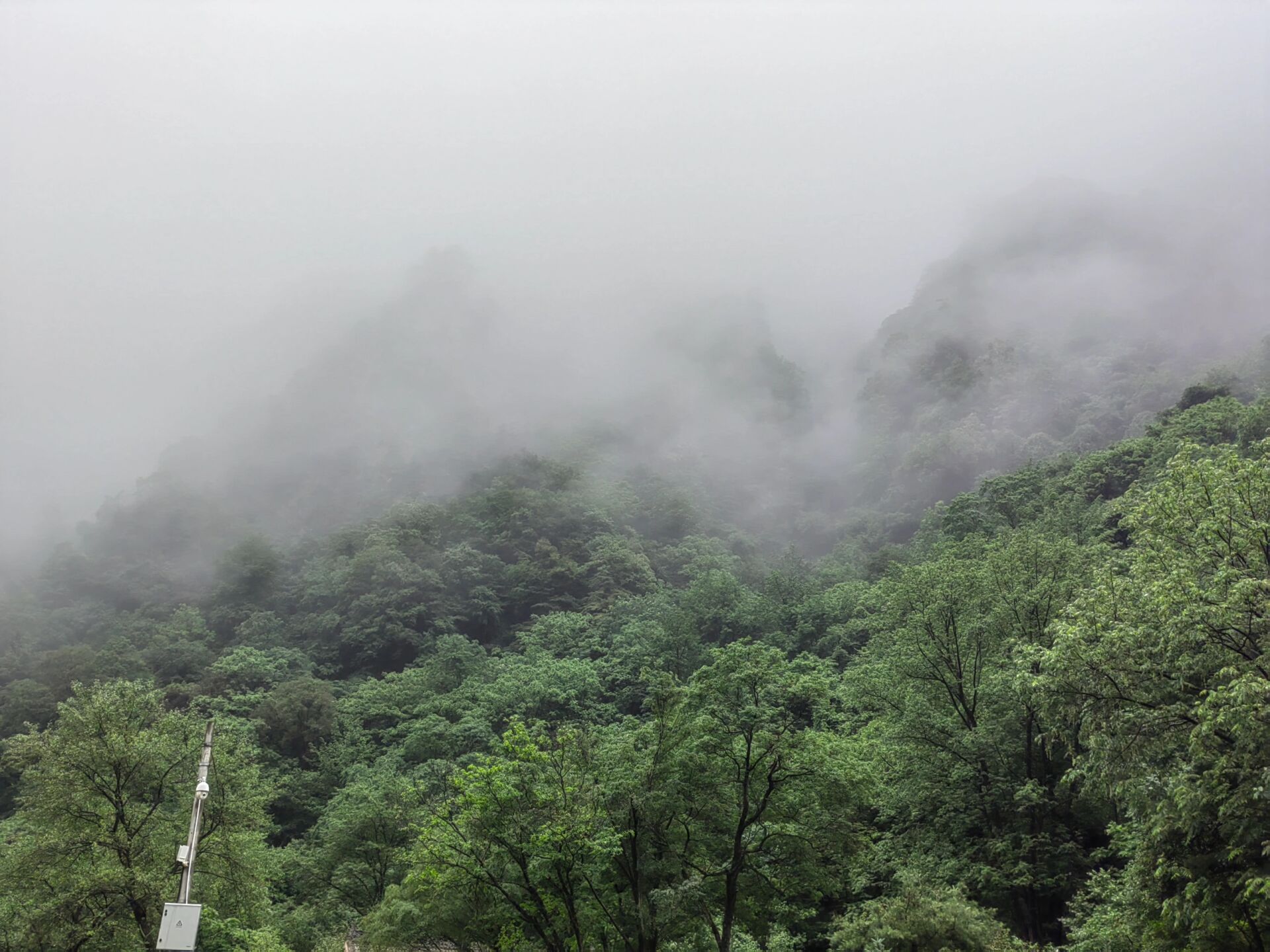 青峰峡国家森林公园图片