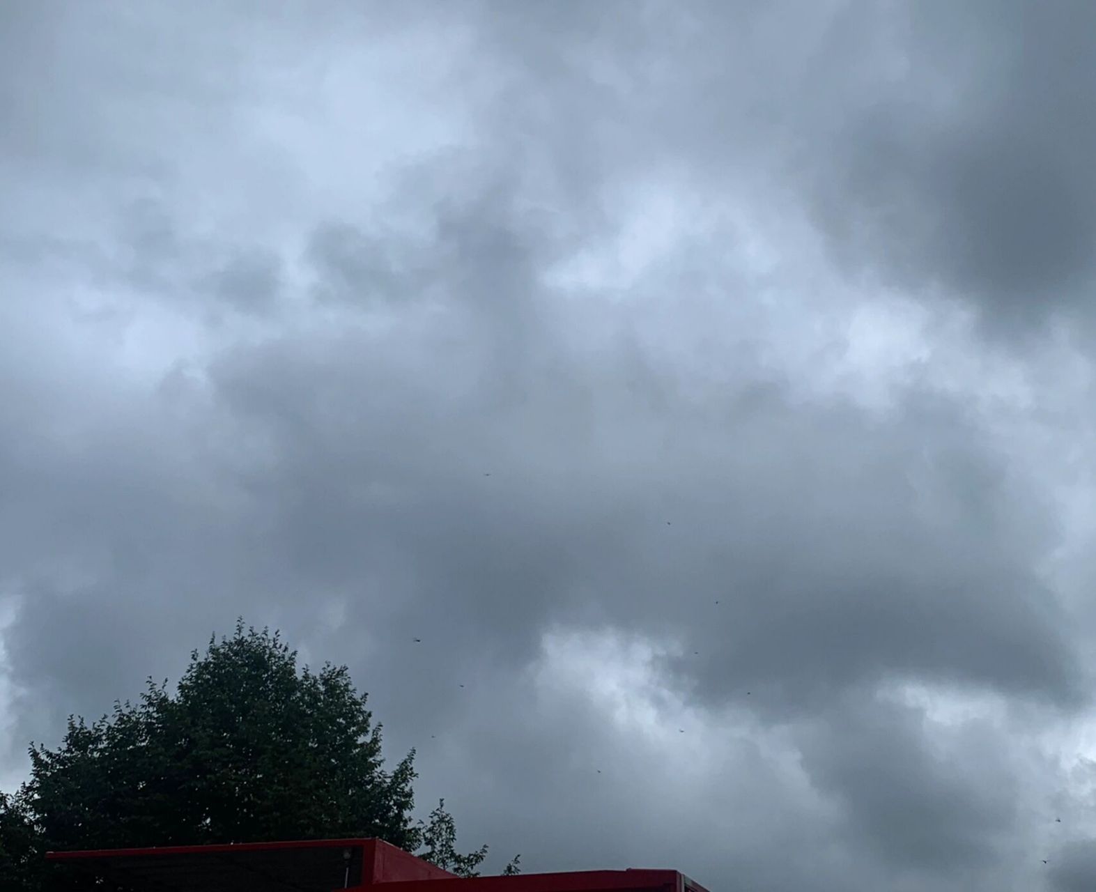 rainy day97 2.   休息日98 3.   出发7615 4.