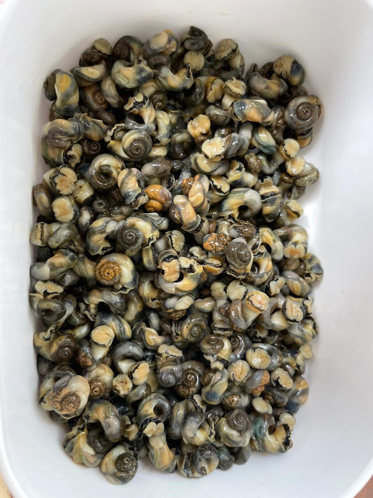 大连美食┃今日份快乐是香波螺给的!